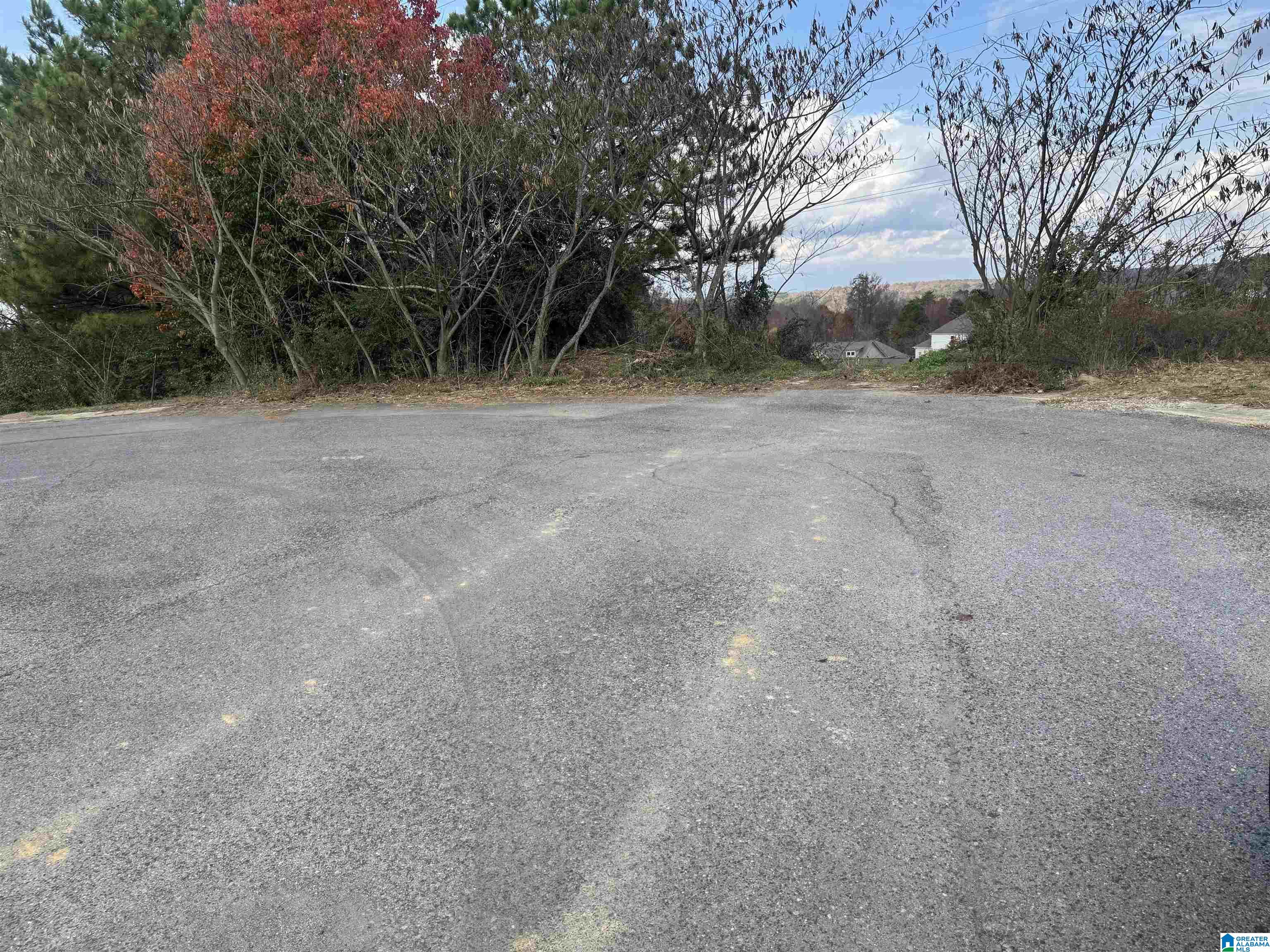 Homes for sale in Mount Olive, AL | 4329 Hathaway Lane, Mount Olive, AL 35117 | MLS# 21437401