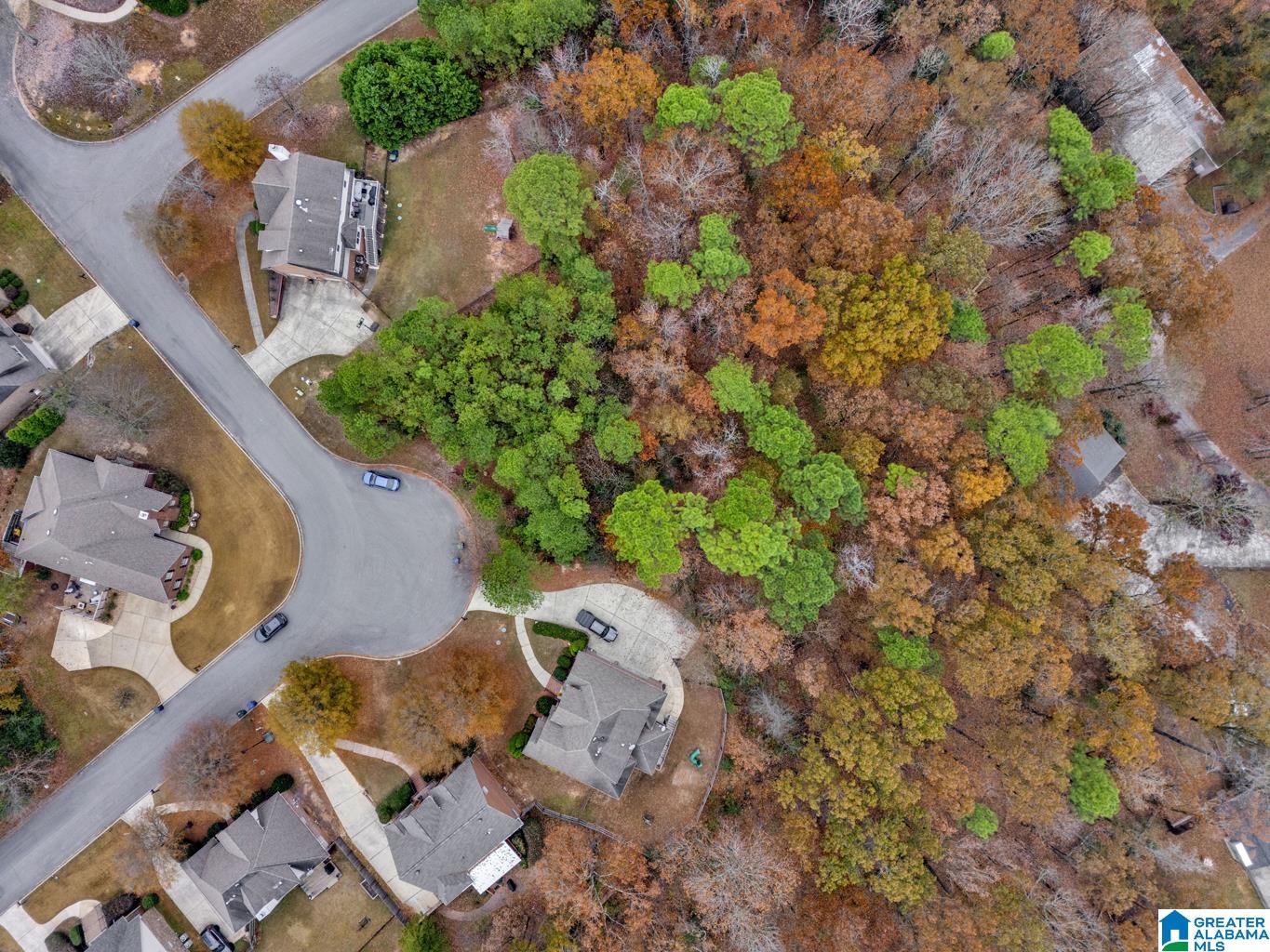 Homes for sale in Alabaster, AL | 211 Mountain Lake Trail, Alabaster, AL 35007 | MLS# 21437482