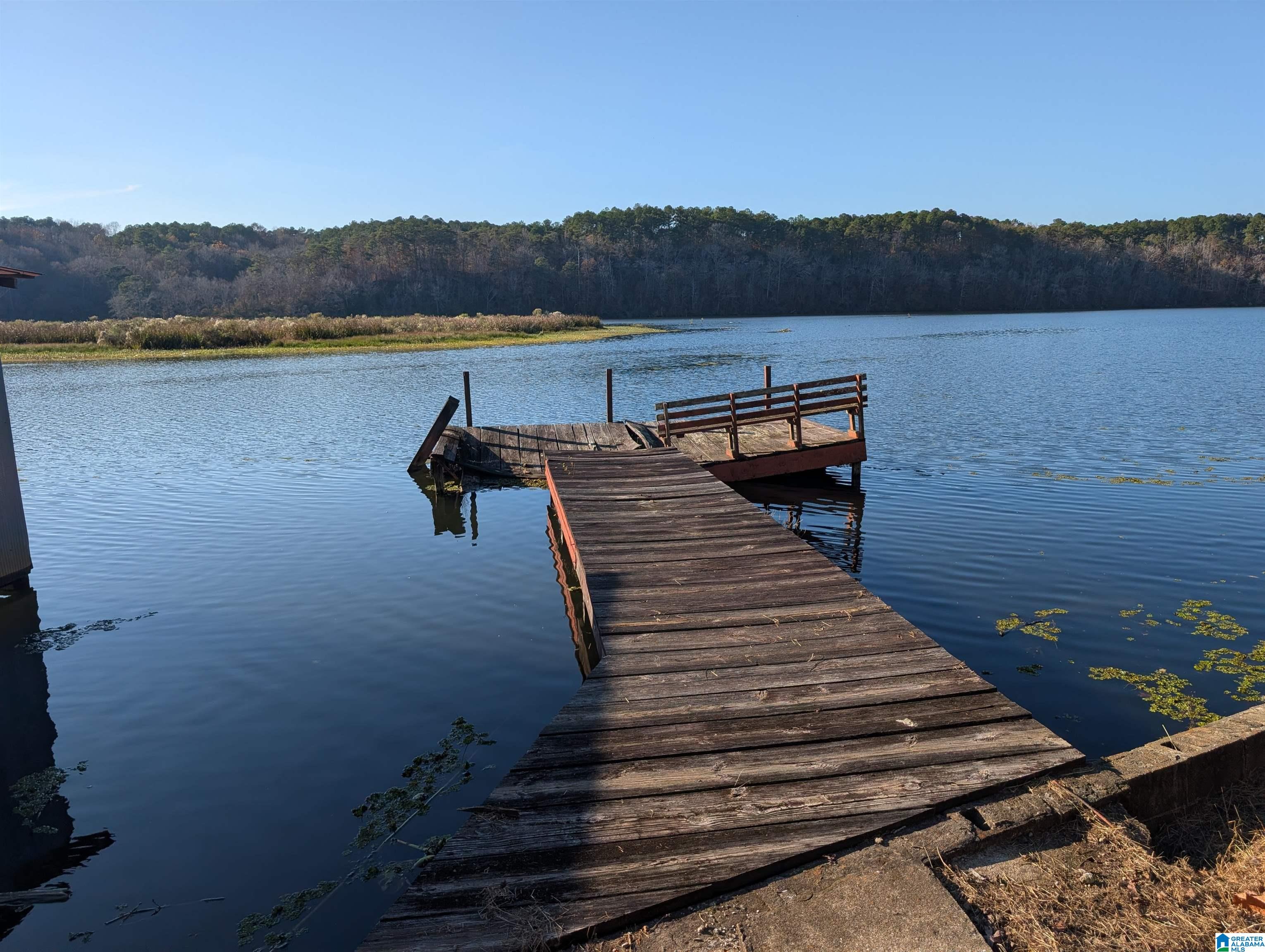 Homes for sale in Adger, AL | 963 Boatworks Road, Adger, AL 35006 | MLS# 21437579