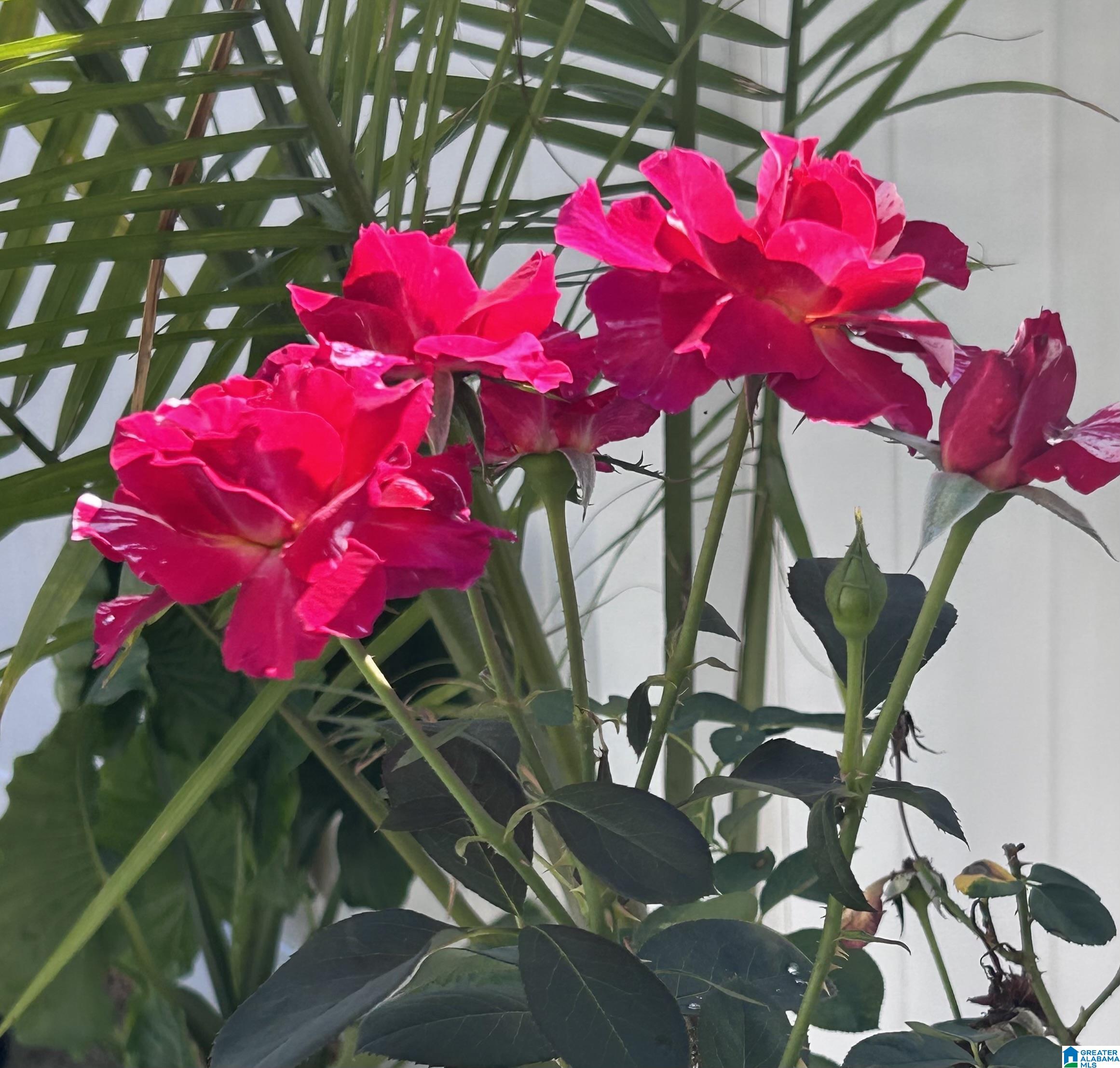 Homes for sale in Pelham, AL | 4027 Saddle Run Circle, Pelham, AL 35124 | MLS# 21437637