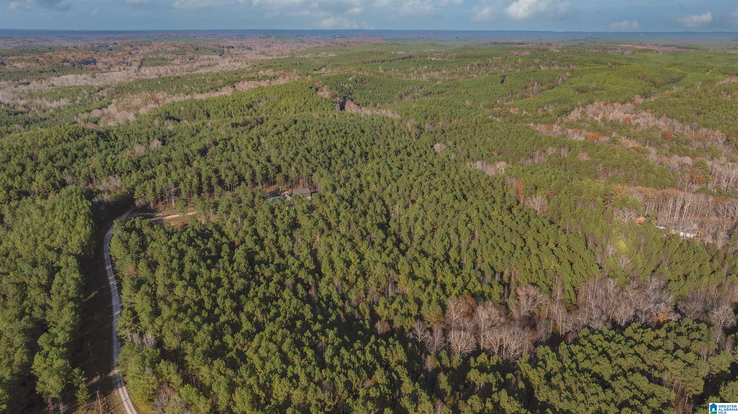 Homes for sale in Cottondale, AL | 14304 Hargrove Road E, Cottondale, AL 35453 | MLS# 21437687