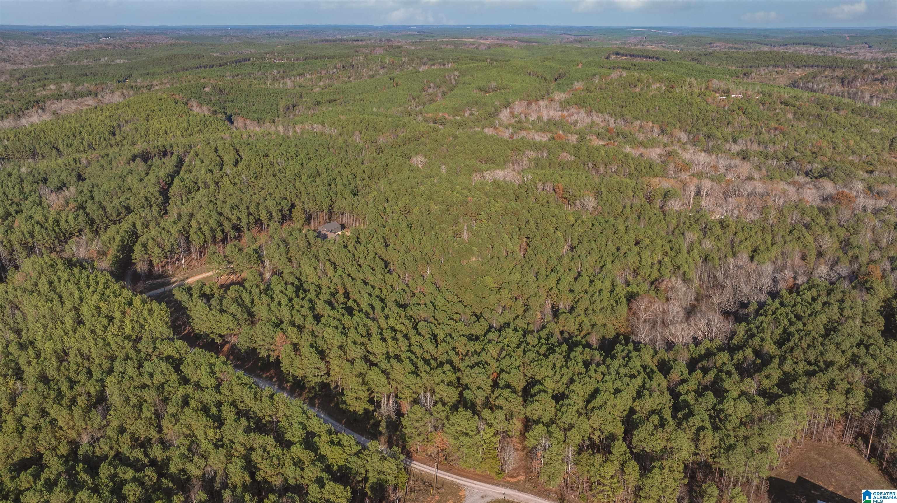 Homes for sale in Cottondale, AL | 14304 Hargrove Road E, Cottondale, AL 35453 | MLS# 21437687