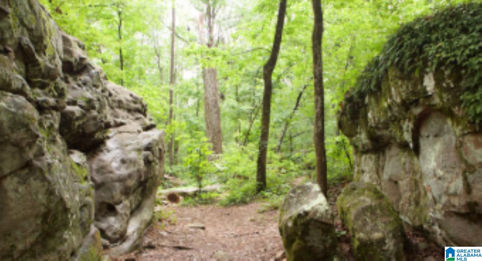 Homes for sale in Hoover, AL | 471 Preserve Way, Hoover, AL 35226 | MLS# 21437692