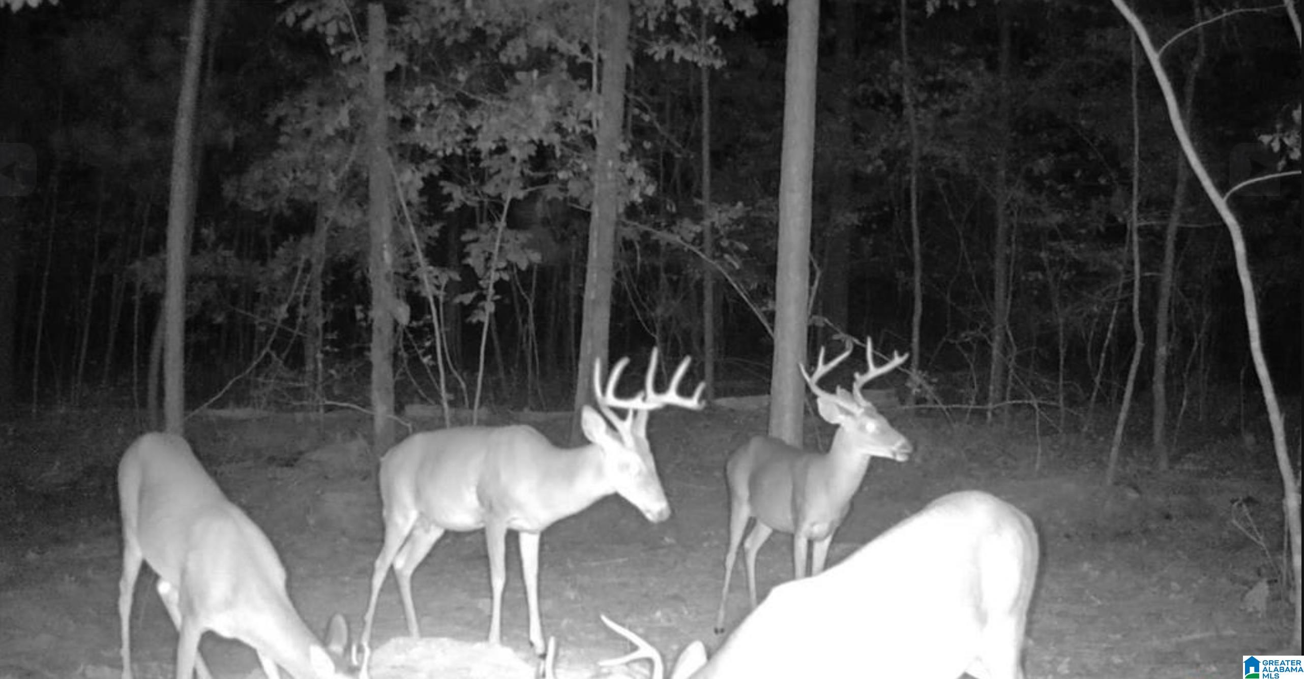 Homes for sale in Columbiana, AL | Lot 4 Hwy 47, Columbiana, AL 35051 | MLS# 21437696