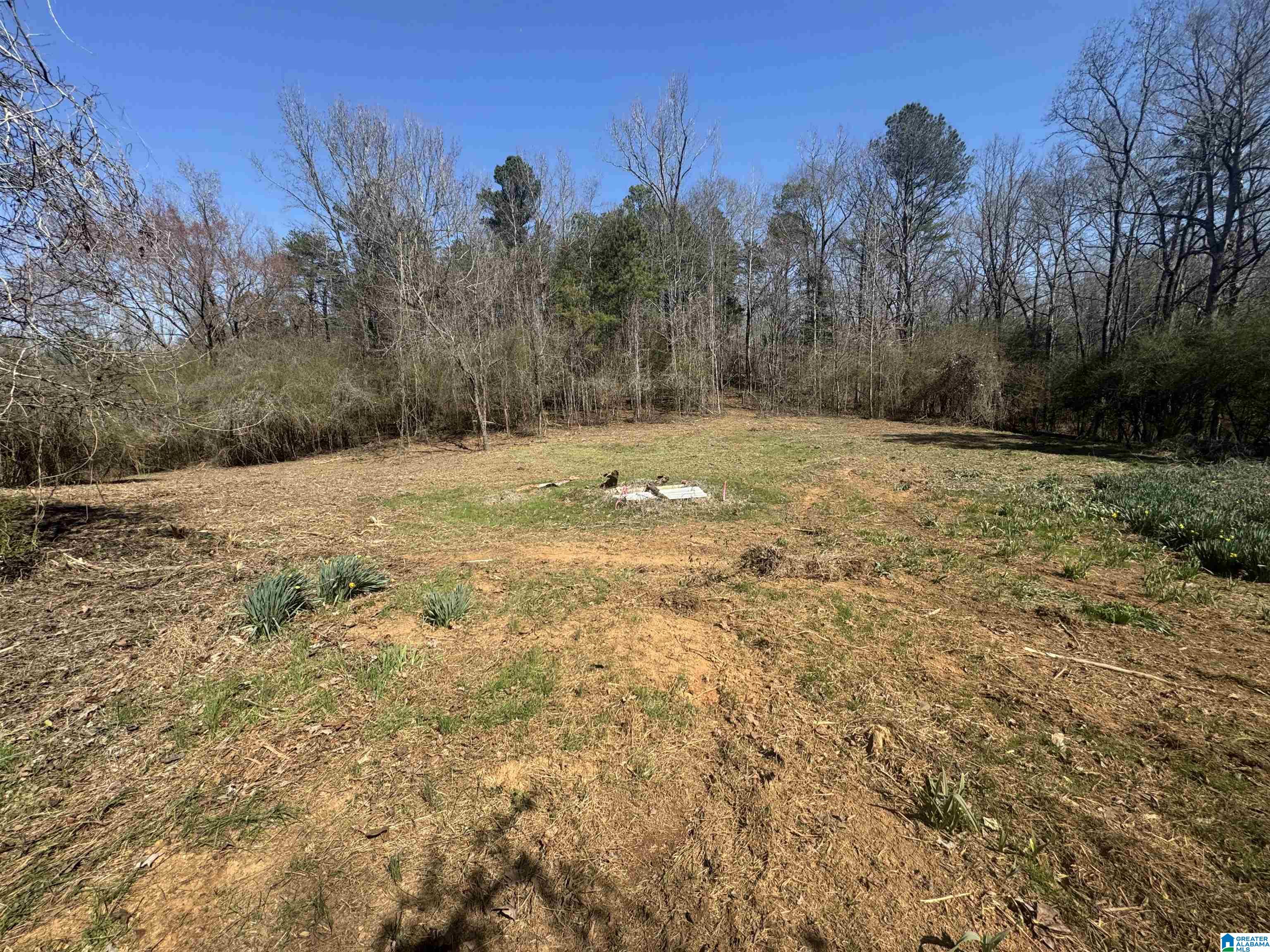 Homes for sale in Columbiana, AL | Lot 4 Hwy 47, Columbiana, AL 35051 | MLS# 21437696