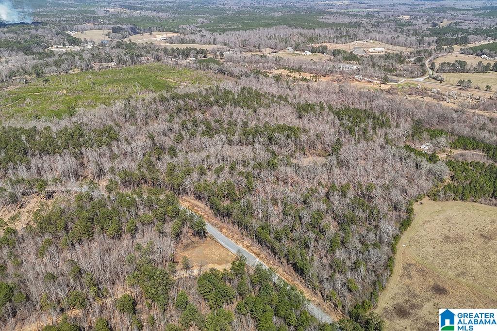 Homes for sale in Columbiana, AL | Lot 4 Hwy 47, Columbiana, AL 35051 | MLS# 21437696