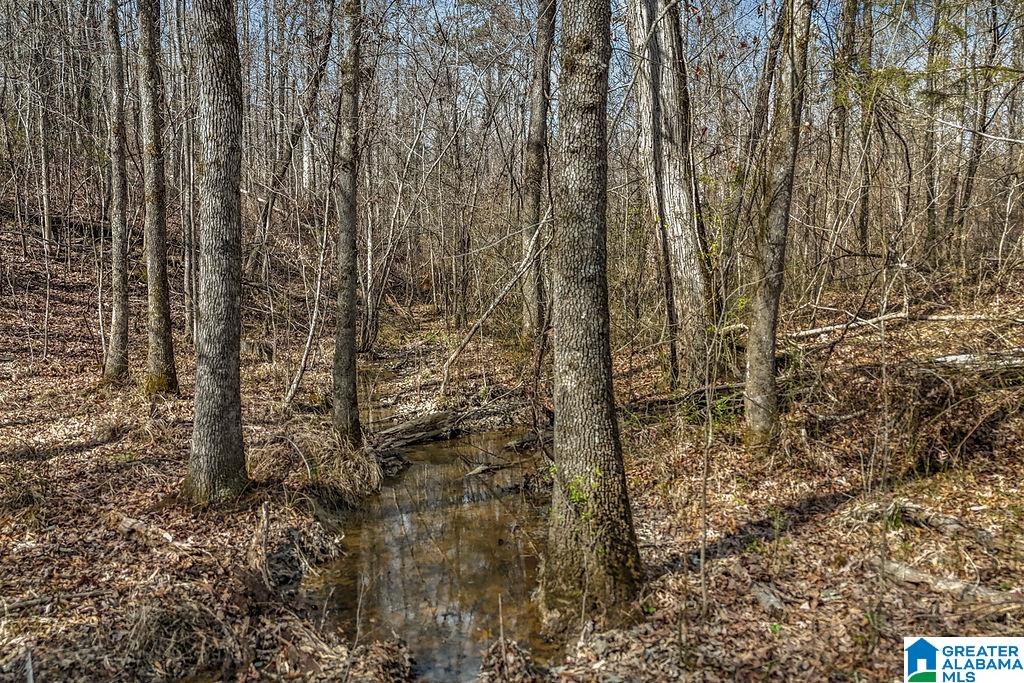 Homes for sale in Columbiana, AL | Lot 4 Hwy 47, Columbiana, AL 35051 | MLS# 21437696