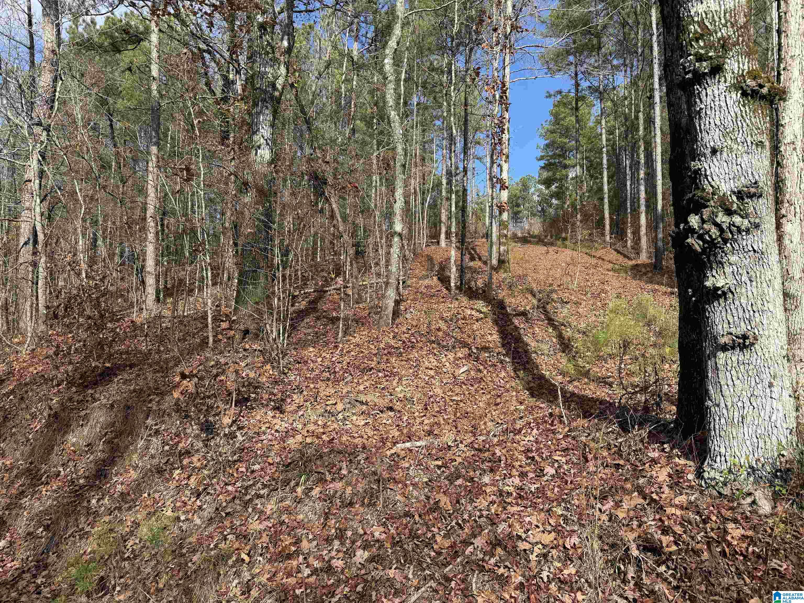 Homes for sale in Pell City, AL | 680 Sweet Apple Road, Pell City, AL 35128 | MLS# 21437743