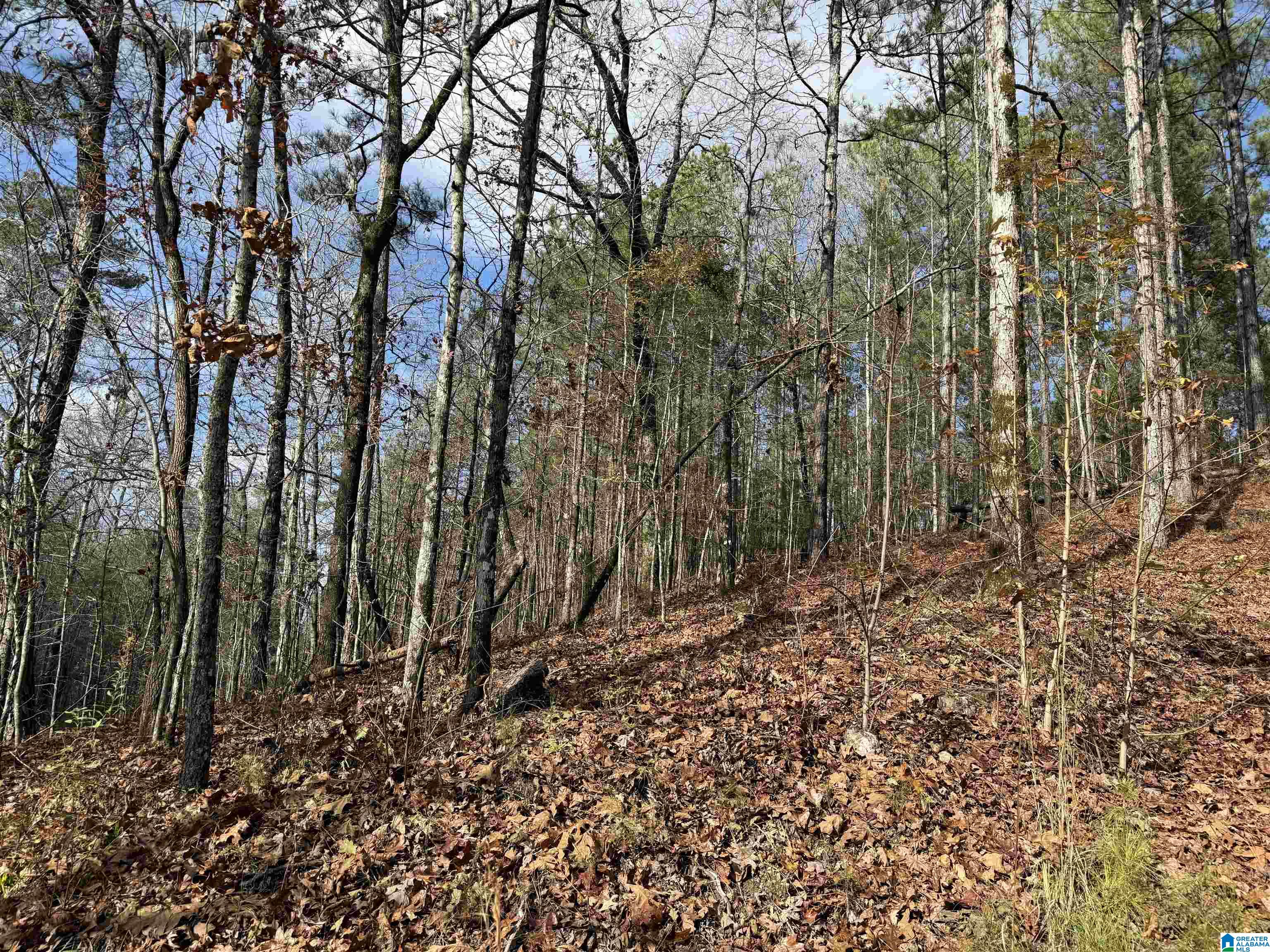 Homes for sale in Pell City, AL | 680 Sweet Apple Road, Pell City, AL 35128 | MLS# 21437743