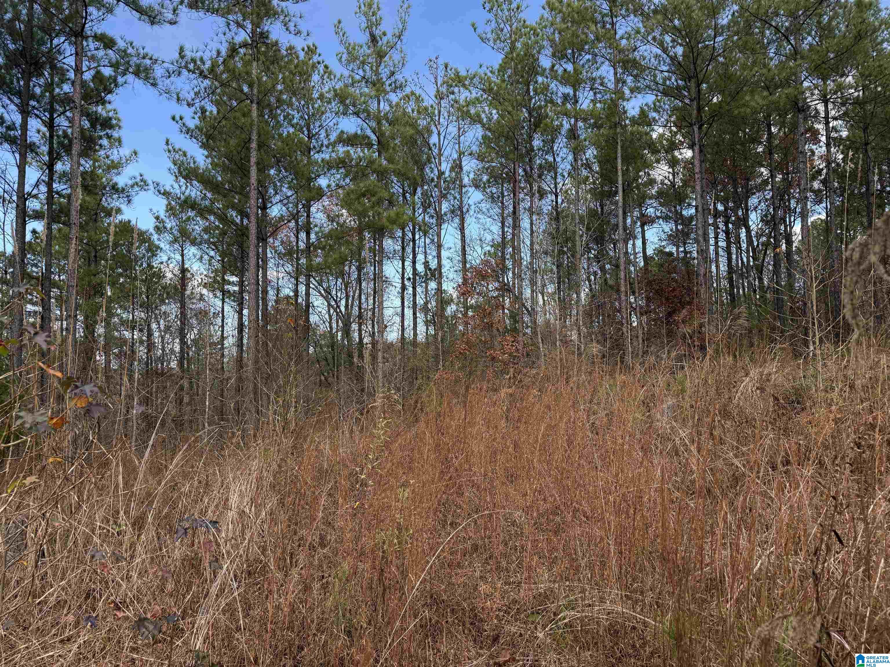 Homes for sale in Pell City, AL | 680 Sweet Apple Road, Pell City, AL 35128 | MLS# 21437743