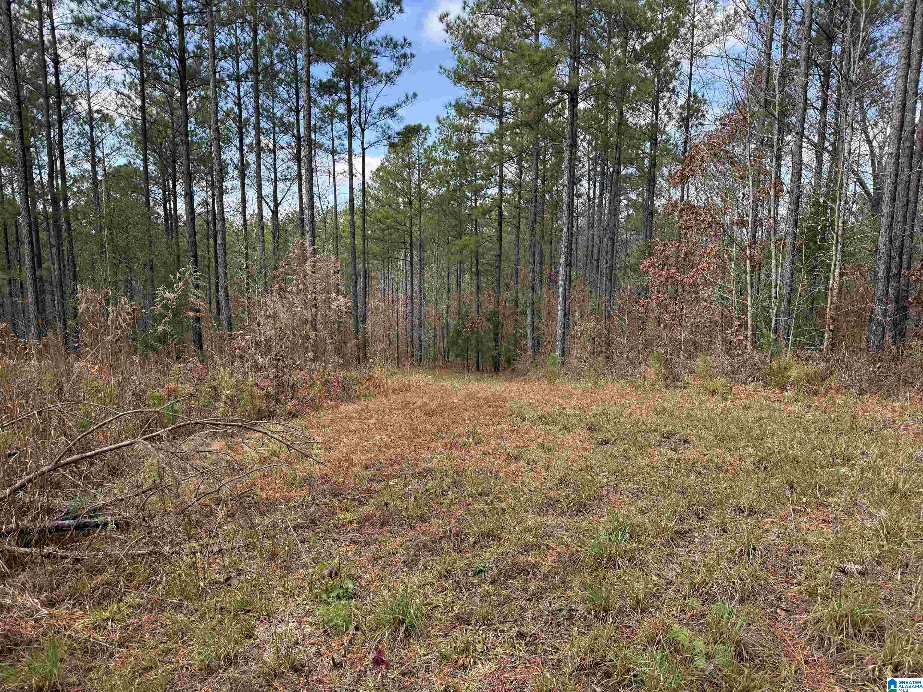 Homes for sale in Pell City, AL | 680 Sweet Apple Road, Pell City, AL 35128 | MLS# 21437743