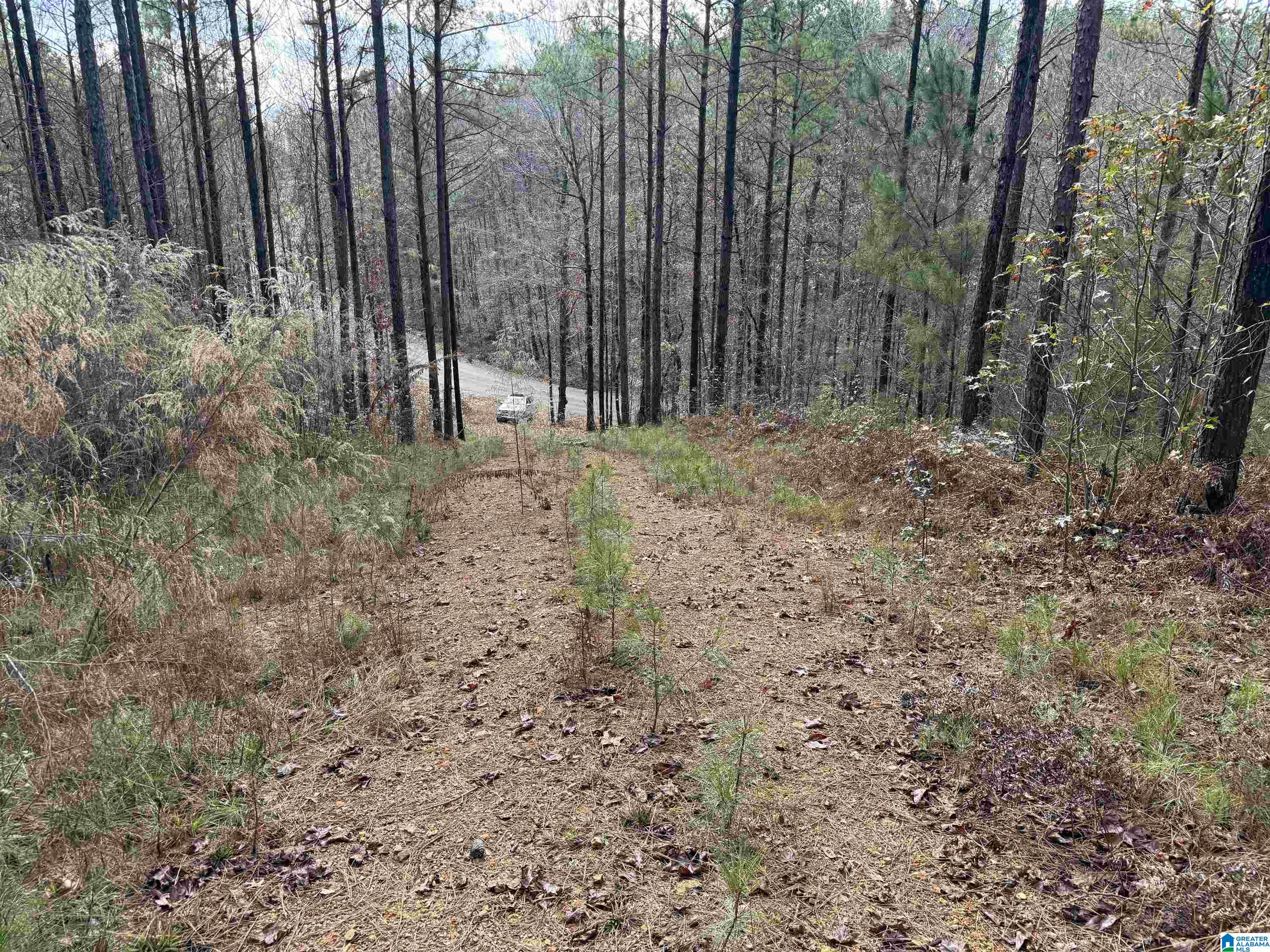 Homes for sale in Pell City, AL | 680 Sweet Apple Road, Pell City, AL 35128 | MLS# 21437743