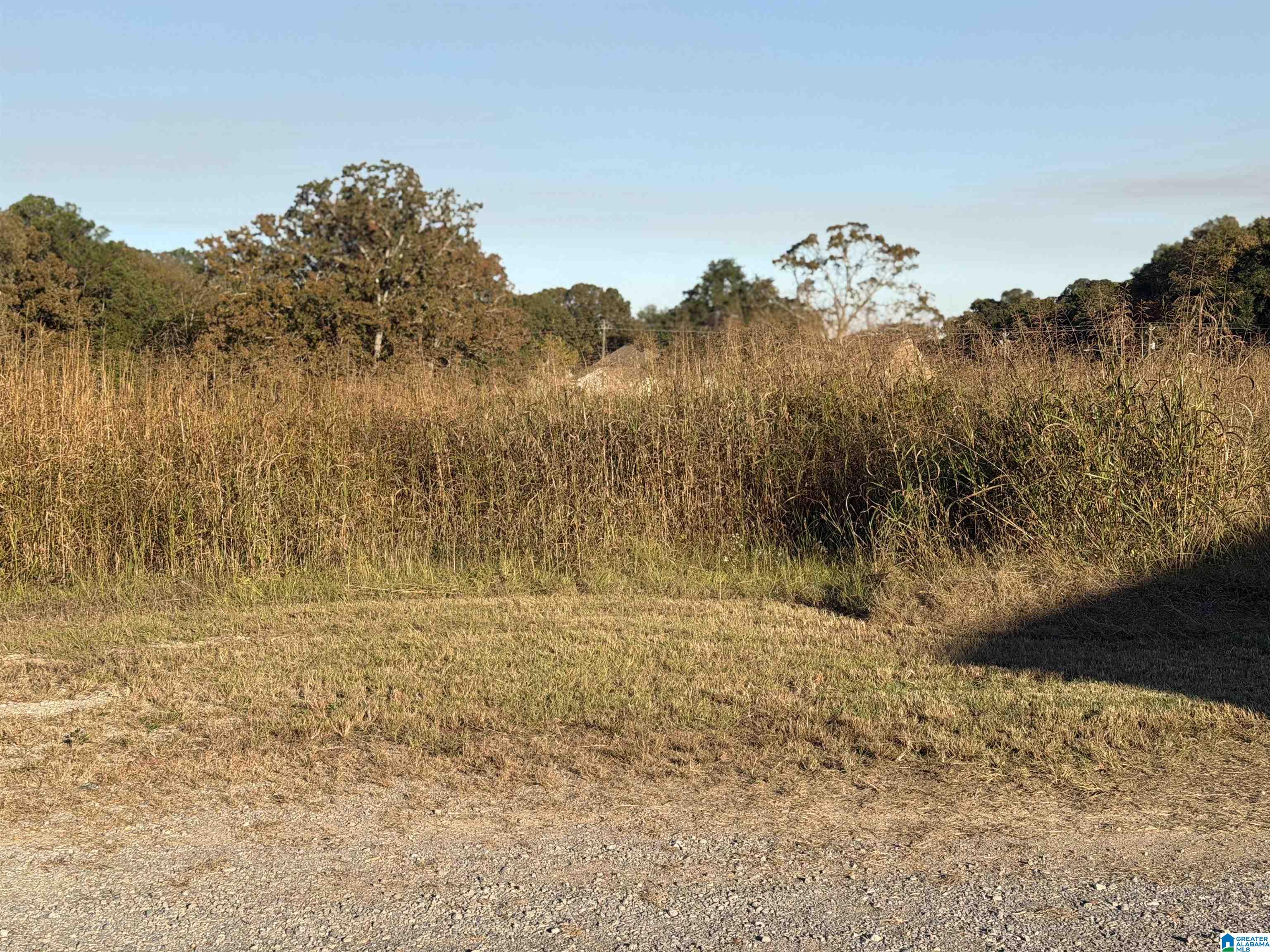 Homes for sale in Cropwell, AL | 0 Martin Street, Cropwell, AL 35054 | MLS# 21437750