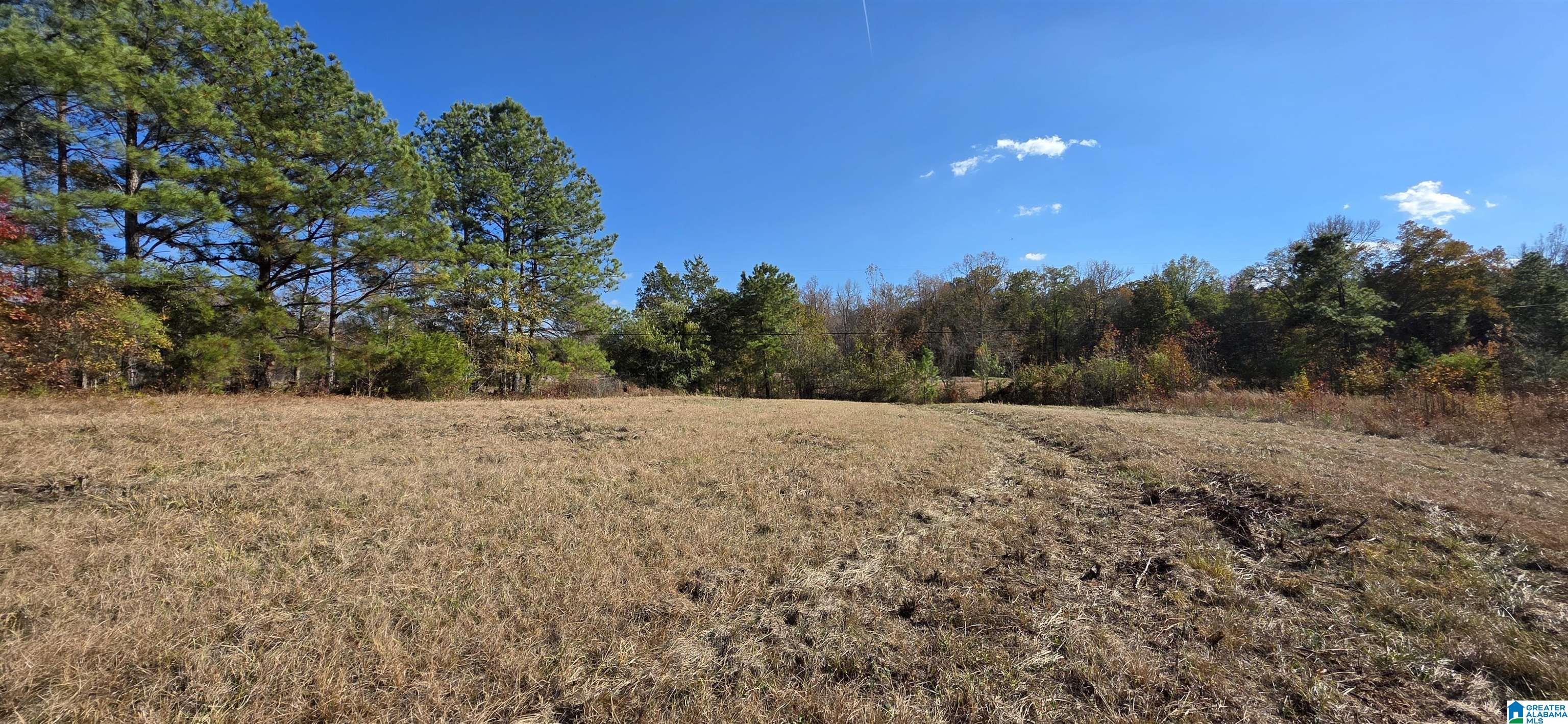 Homes for sale in Ohatchee, AL | 663 Graham Dr, Ohatchee, AL 36271 | MLS# 21437777