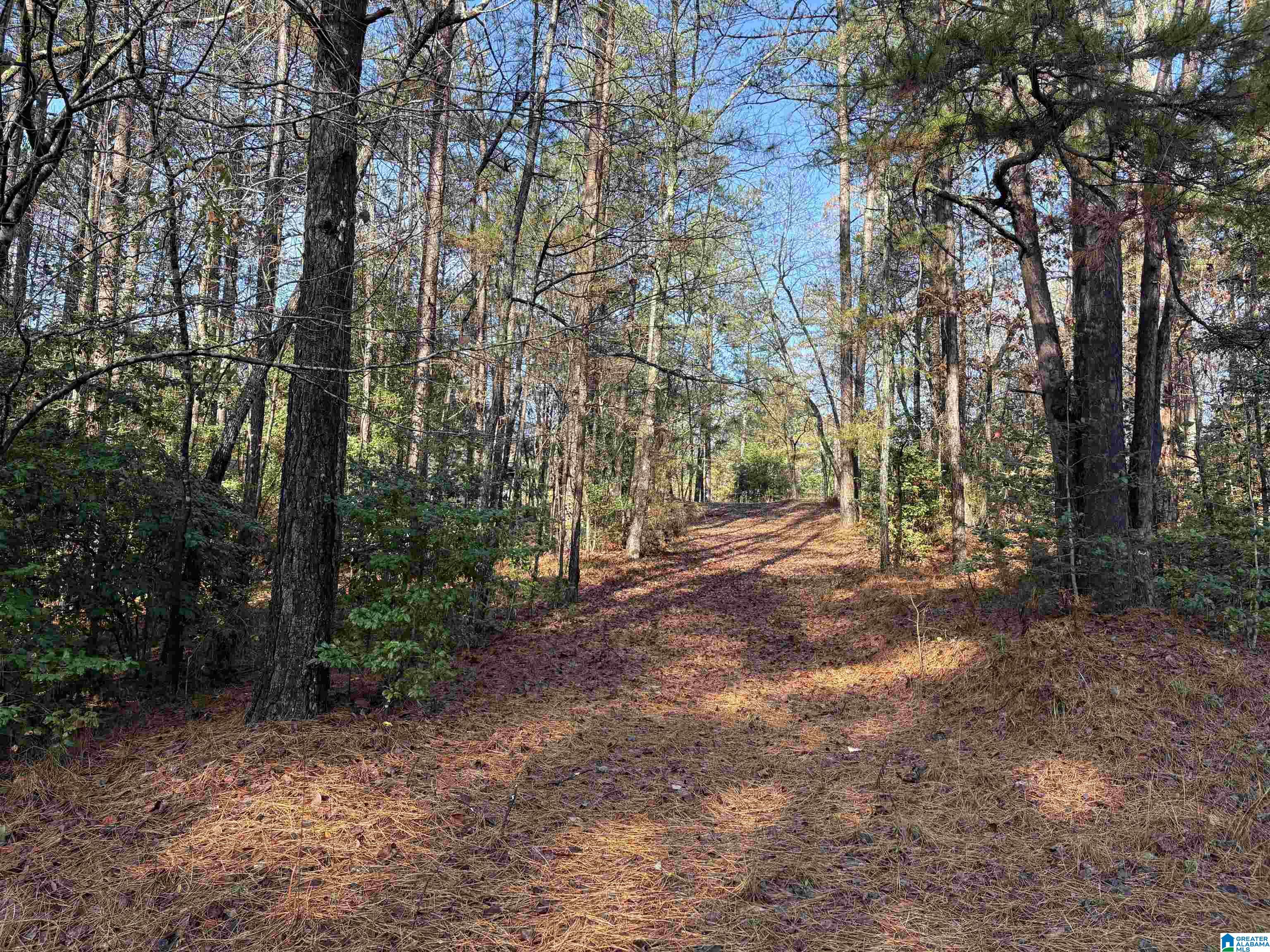 Homes for sale in Wedowee, AL | 39 Longleaf Dr, Wedowee, AL 36280 | MLS# 21437812