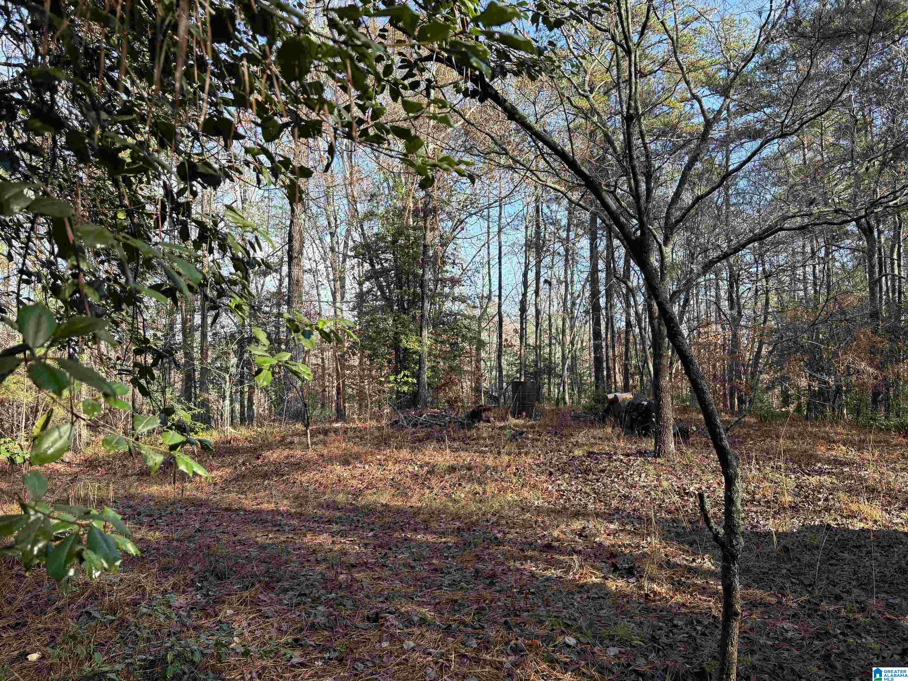 Homes for sale in Wedowee, AL | 39 Longleaf Dr, Wedowee, AL 36280 | MLS# 21437812