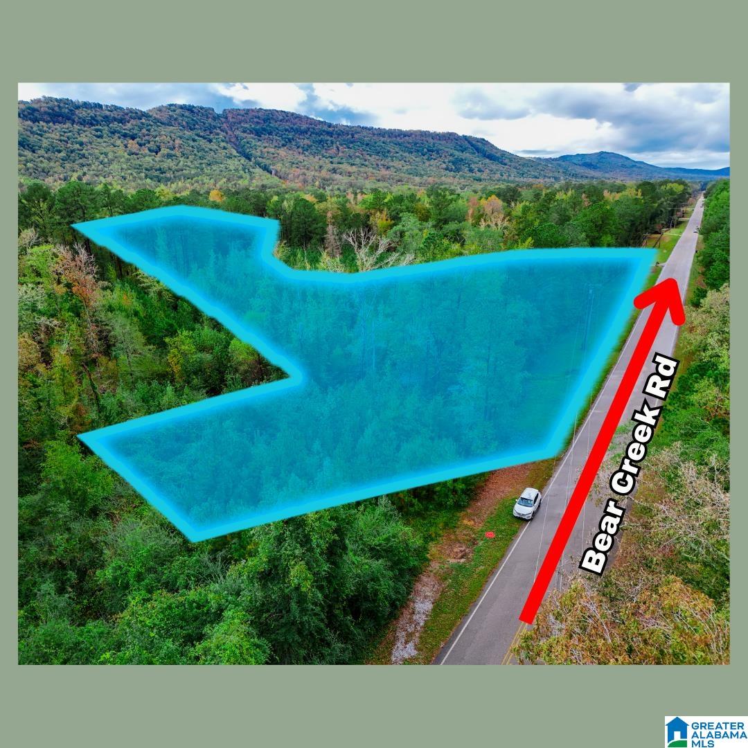 Homes for sale in Sterrett, AL | 0 Bear Creek Road, Sterrett, AL 35147 | MLS# 21437843