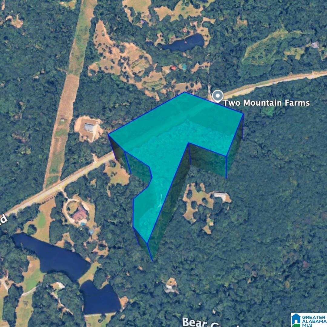 Homes for sale in Sterrett, AL | 0 Bear Creek Road, Sterrett, AL 35147 | MLS# 21437843