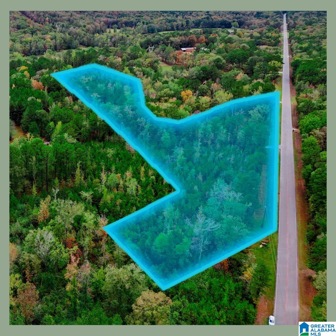Homes for sale in Sterrett, AL | 0 Bear Creek Road, Sterrett, AL 35147 | MLS# 21437843
