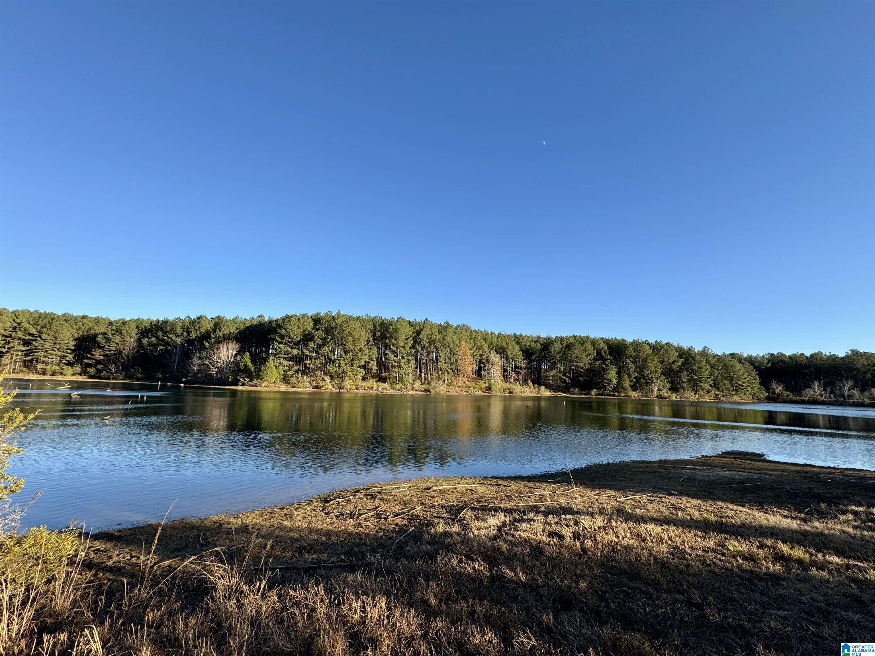 Homes for sale in Woodstock, AL | 10000 Eastern Valley Road, Woodstock, AL 35188 | MLS# 21437854