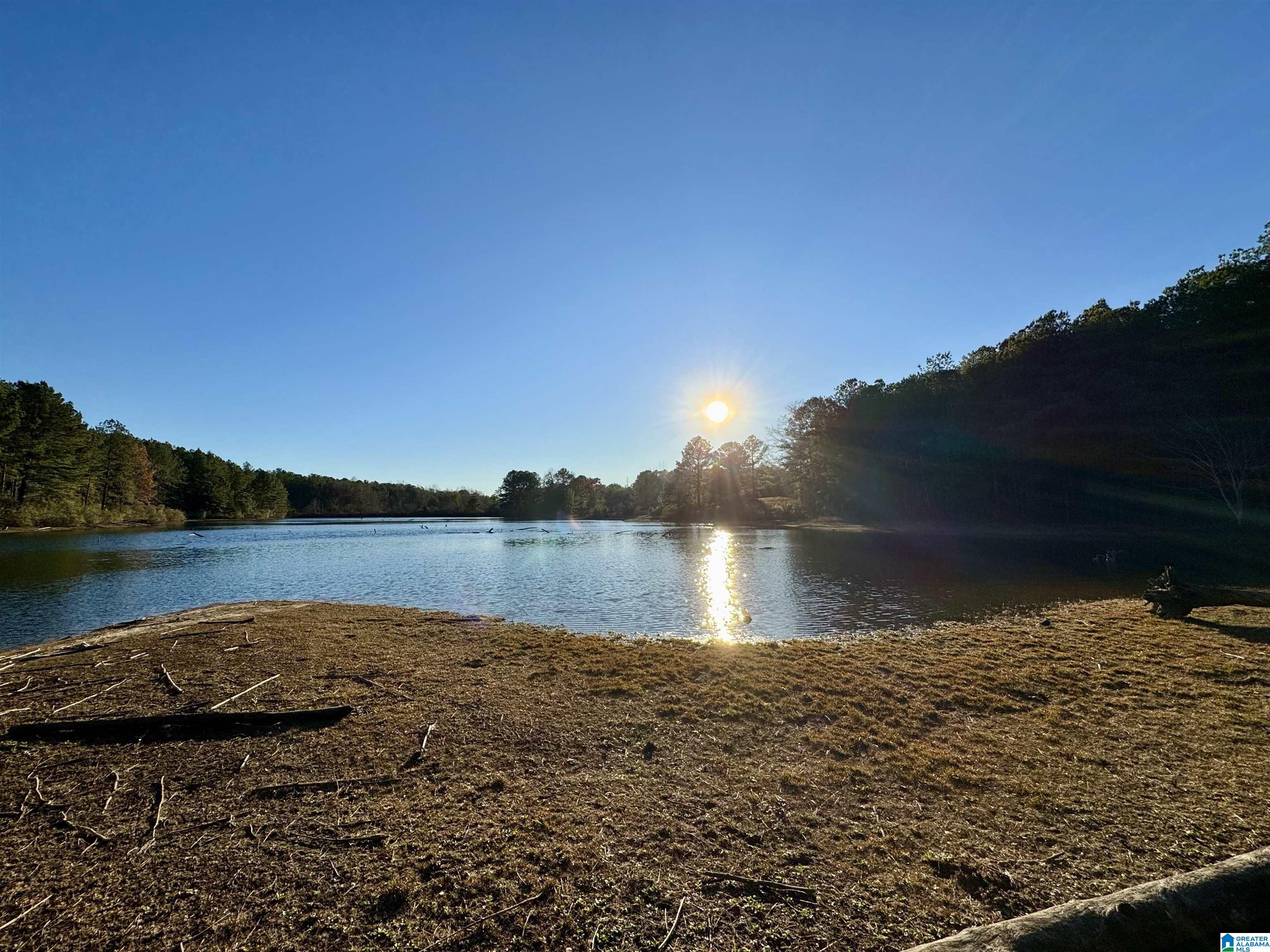 Homes for sale in Woodstock, AL | 10000 Eastern Valley Road, Woodstock, AL 35188 | MLS# 21437854