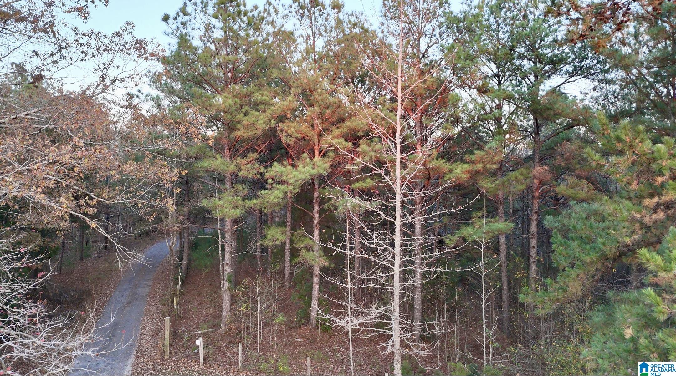 Homes for sale in West Blocton, AL | 100 Presbyterian Church Road, West Blocton, AL 35184 | MLS# 21437858