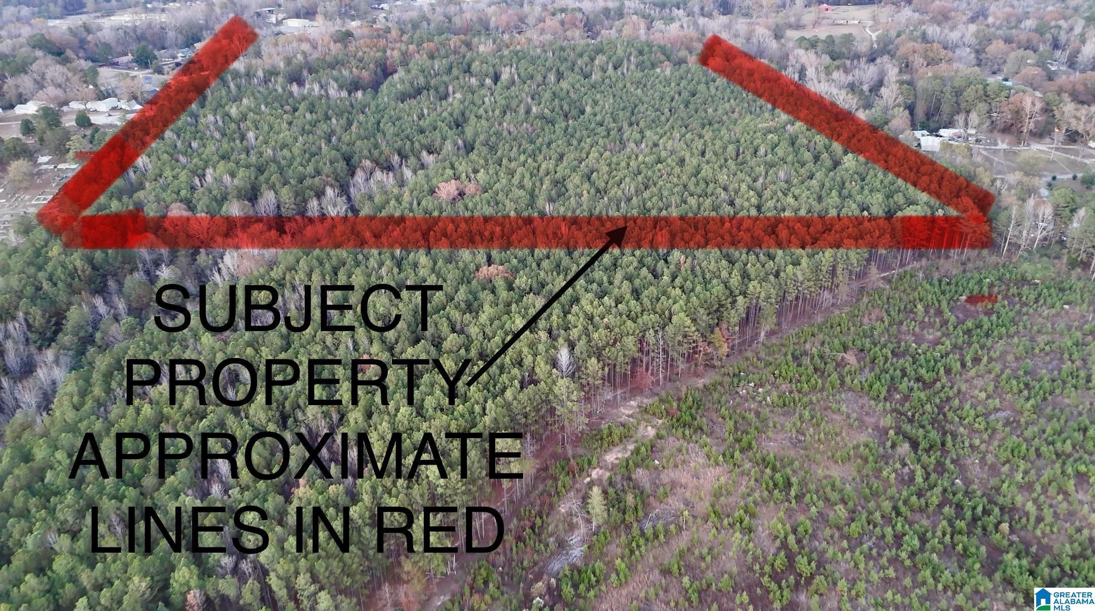 Homes for sale in West Blocton, AL | 100 Presbyterian Church Road, West Blocton, AL 35184 | MLS# 21437858