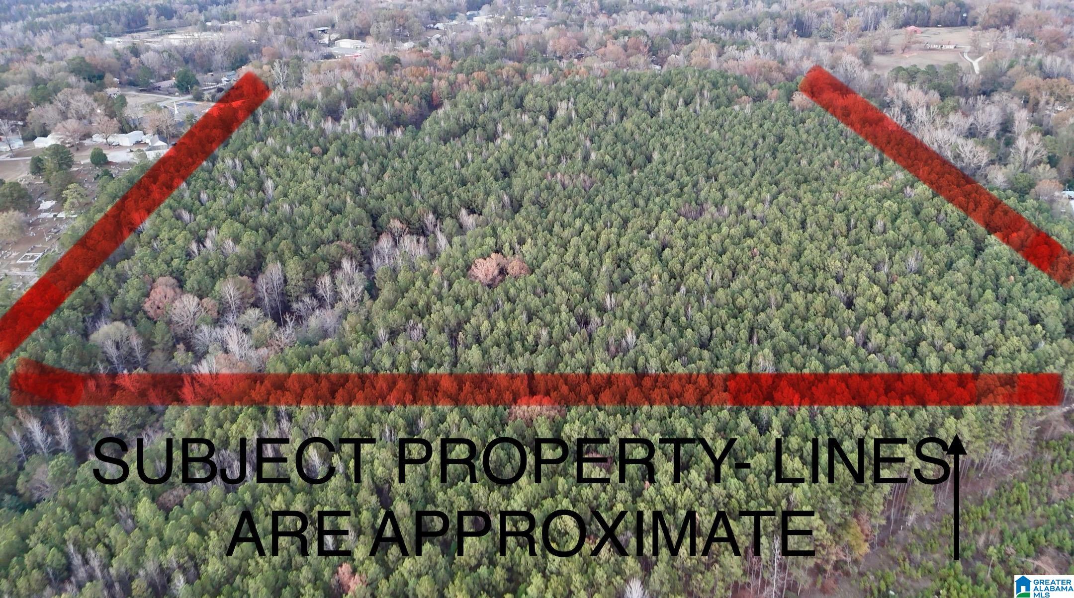 Homes for sale in West Blocton, AL | 100 Presbyterian Church Road, West Blocton, AL 35184 | MLS# 21437858