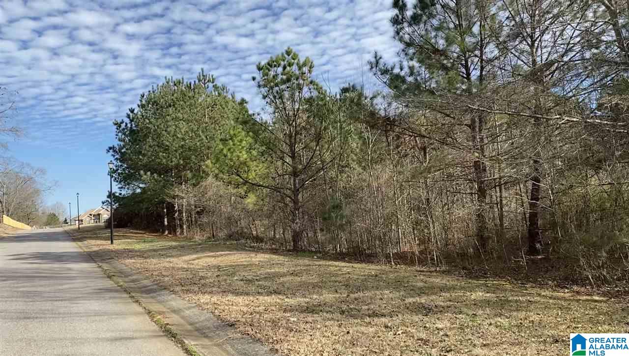 Homes for sale in Thorsby, AL | Lot 24 County Road 70, Thorsby, AL 35171 | MLS# 21437925