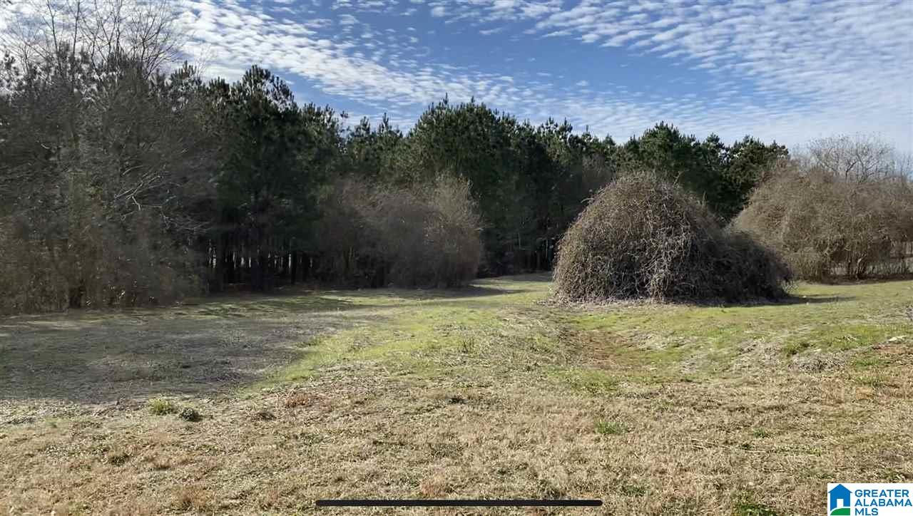 Homes for sale in Thorsby, AL | Lot 22 County Road 70, Thorsby, AL 35171 | MLS# 21437926