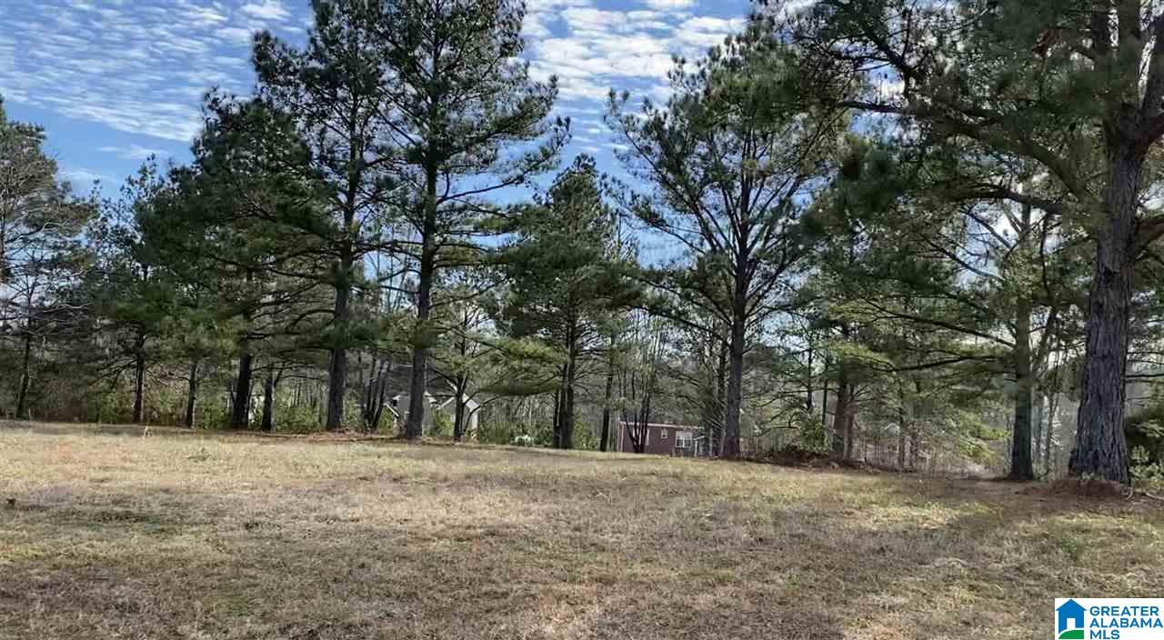 Homes for sale in Thorsby, AL | Lot 11 County Road 70, Thorsby, AL 35171 | MLS# 21437931