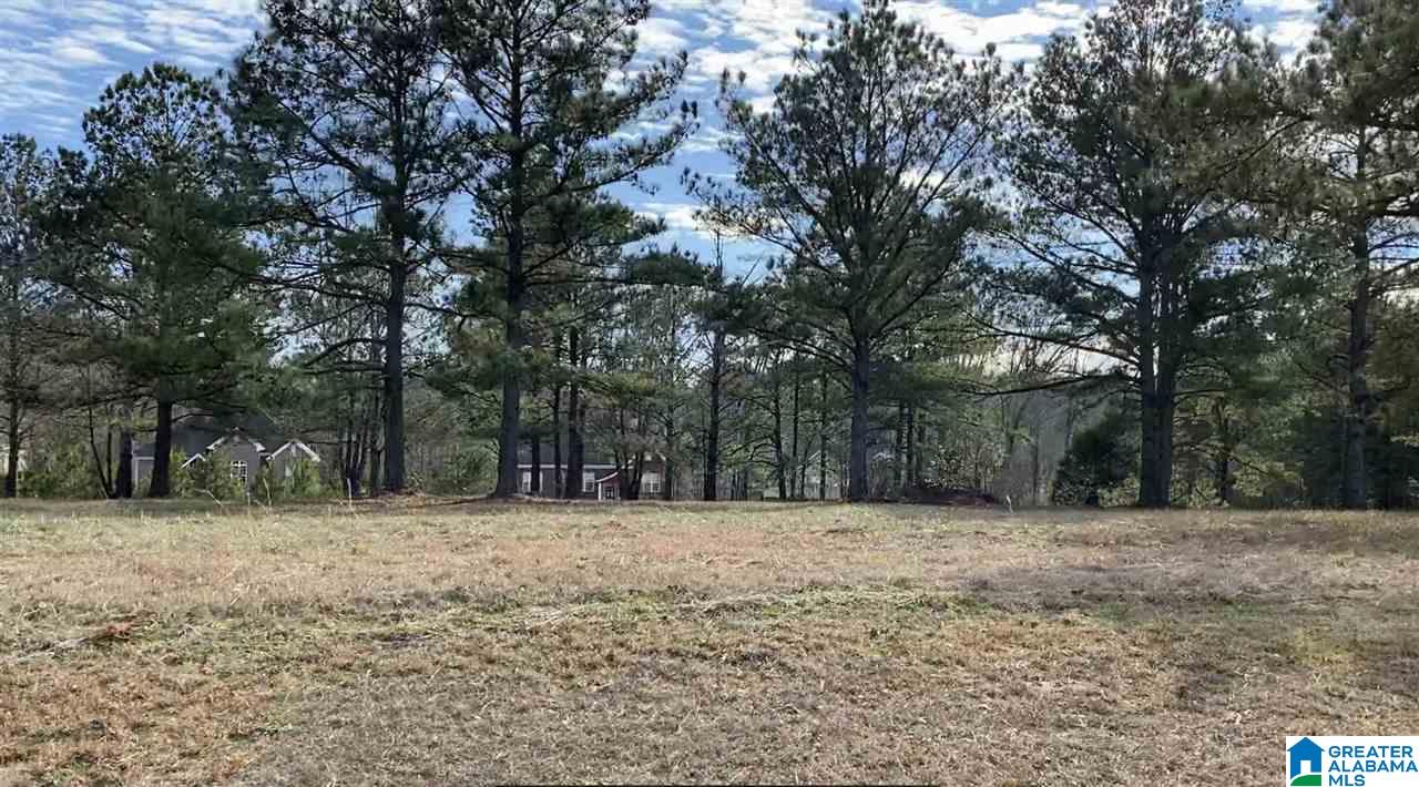 Homes for sale in Thorsby, AL | Lot 4 County Road 70, Thorsby, AL 35171 | MLS# 21437938