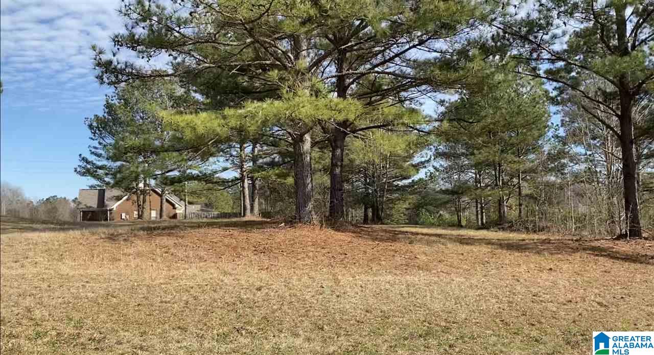 Homes for sale in Thorsby, AL | Lot 4 County Road 70, Thorsby, AL 35171 | MLS# 21437938