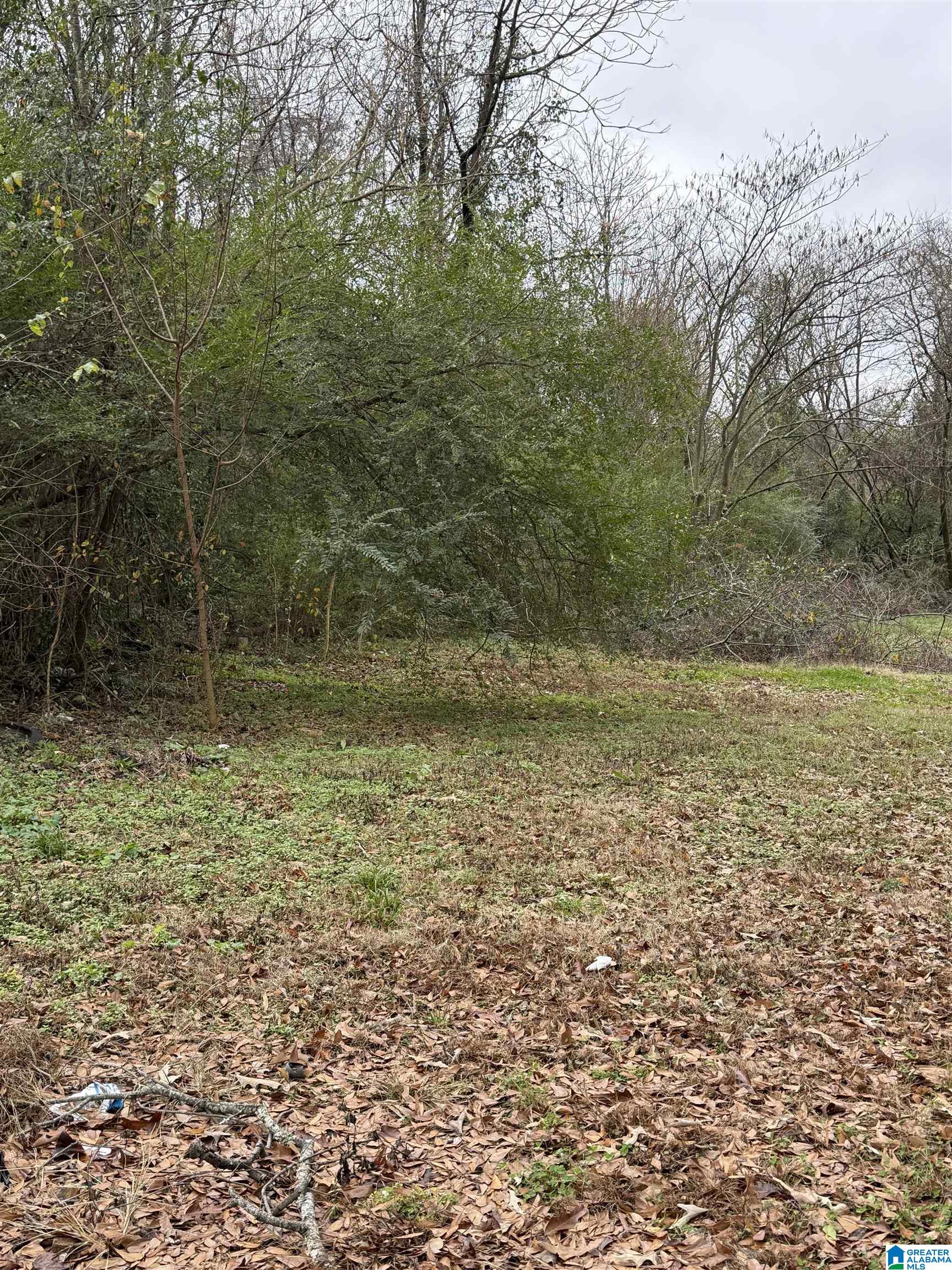 Homes for sale in Midfield, AL | 201 Nail Street, Midfield, AL 35228 | MLS# 21437970