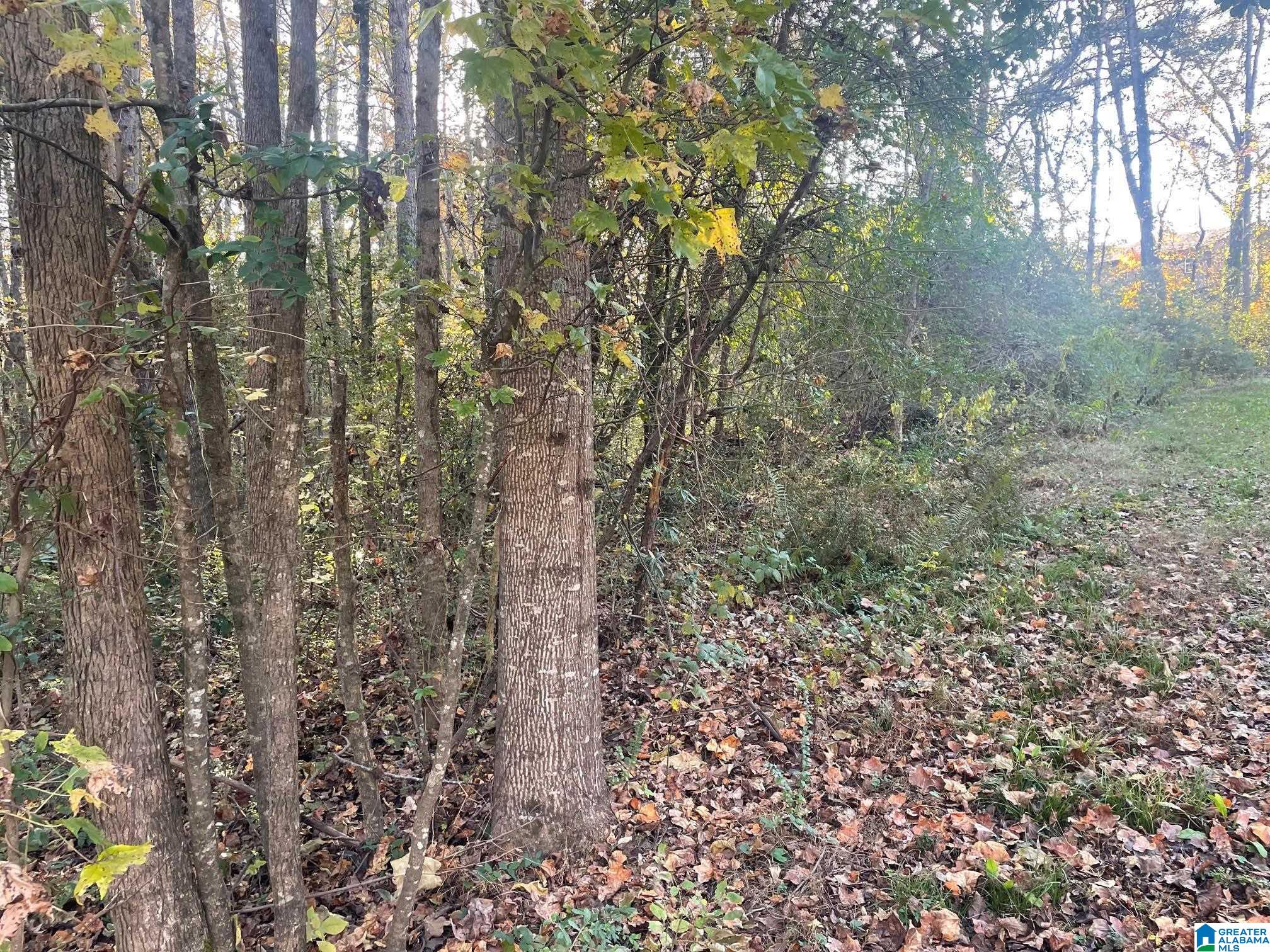 Homes for sale in Gardendale, AL | 529 Foxfire Dr, Gardendale, AL 35071 | MLS# 21437975