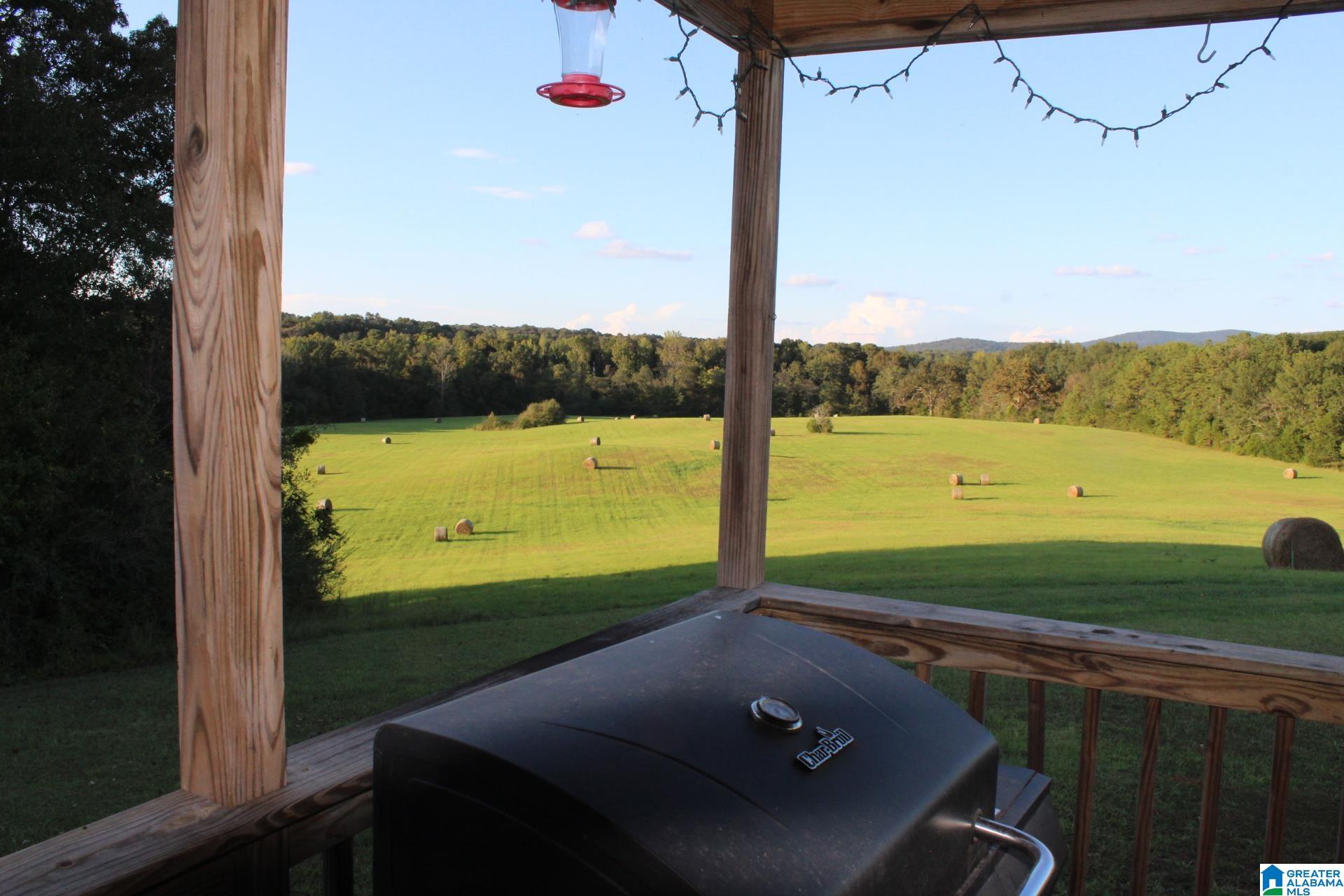 Homes for sale in Munford, AL | 2865 Jenifer Road, Munford, AL 36268 | MLS# 21438077