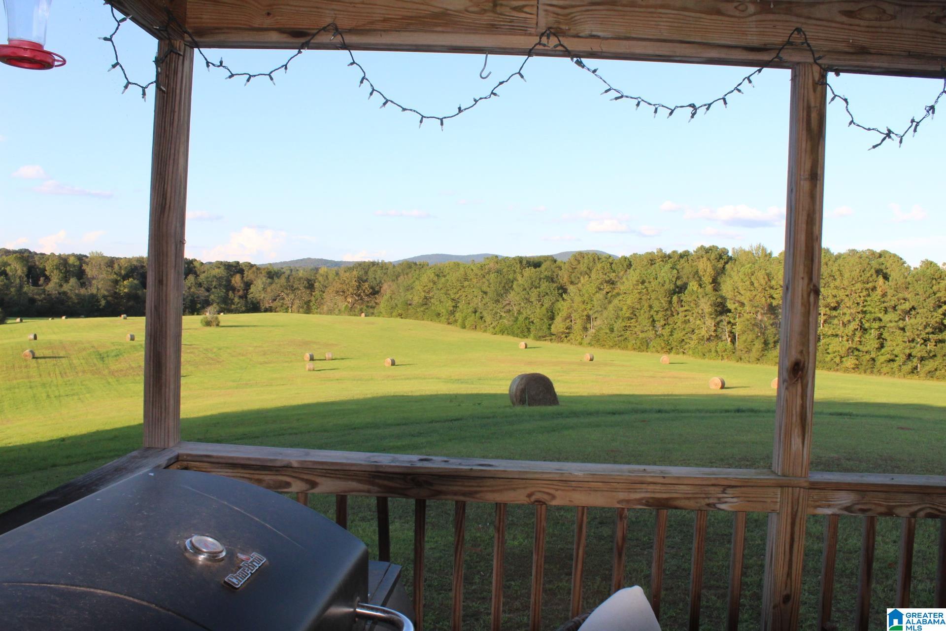 Homes for sale in Munford, AL | 2865 Jenifer Road, Munford, AL 36268 | MLS# 21438077