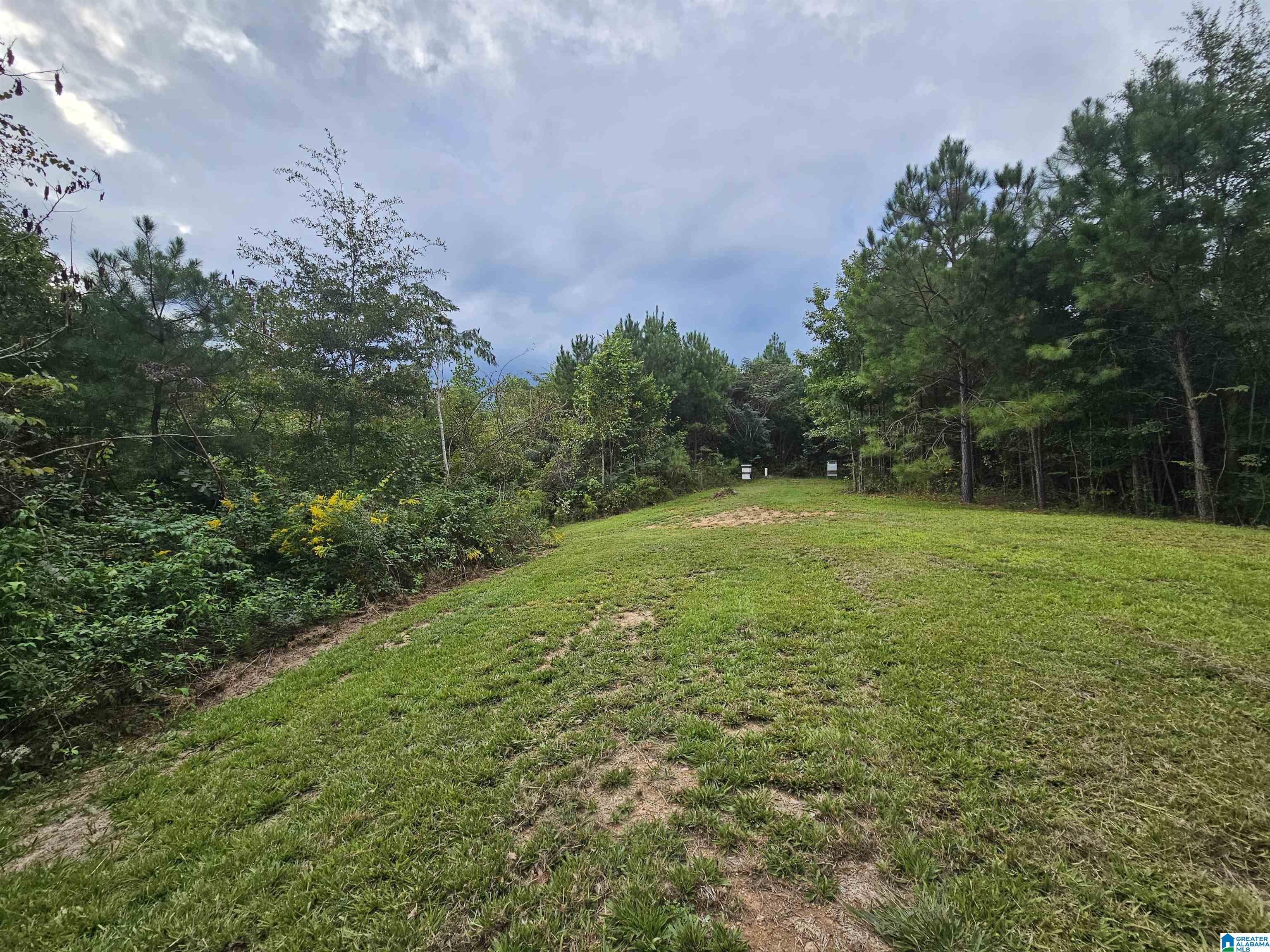 Homes for sale in Clanton, AL | 94 County Road 258, Clanton, AL 35046 | MLS# 21438104