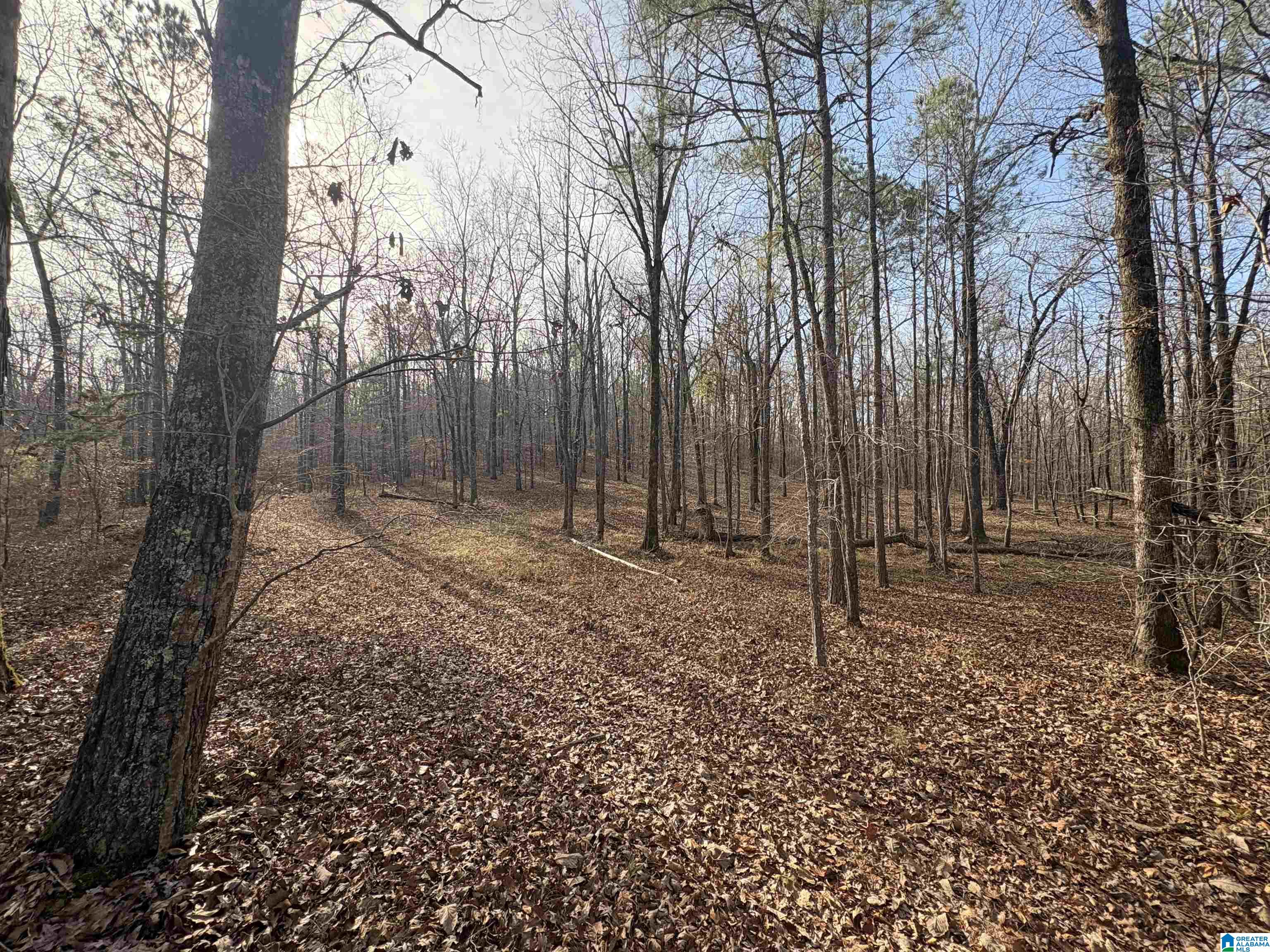 Homes for sale in Mccalla, AL | 4540 Cabin Road, Mccalla, AL 35022 | MLS# 21438157