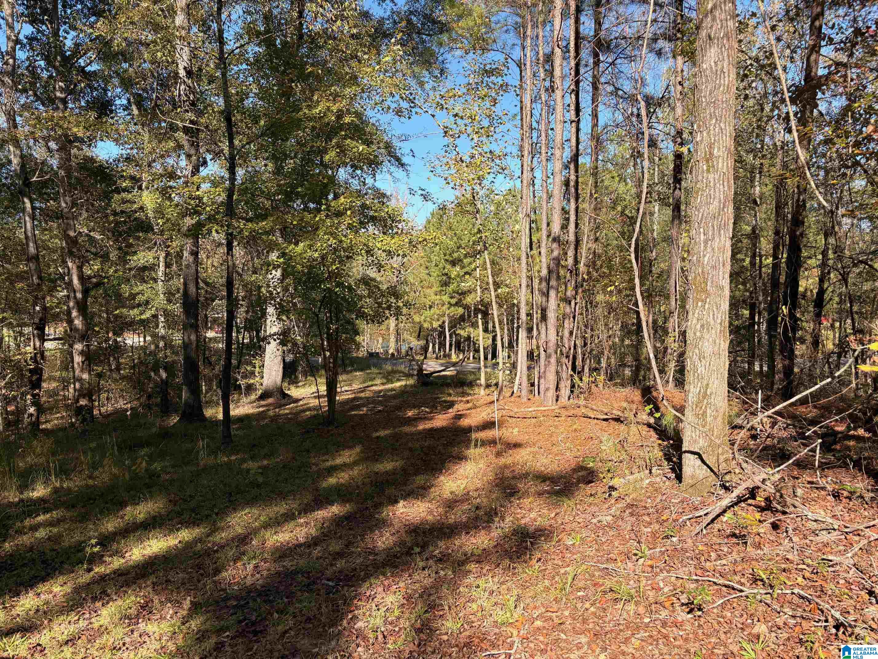 Homes for sale in Mccalla, AL | 4540 Cabin Road, Mccalla, AL 35022 | MLS# 21438157