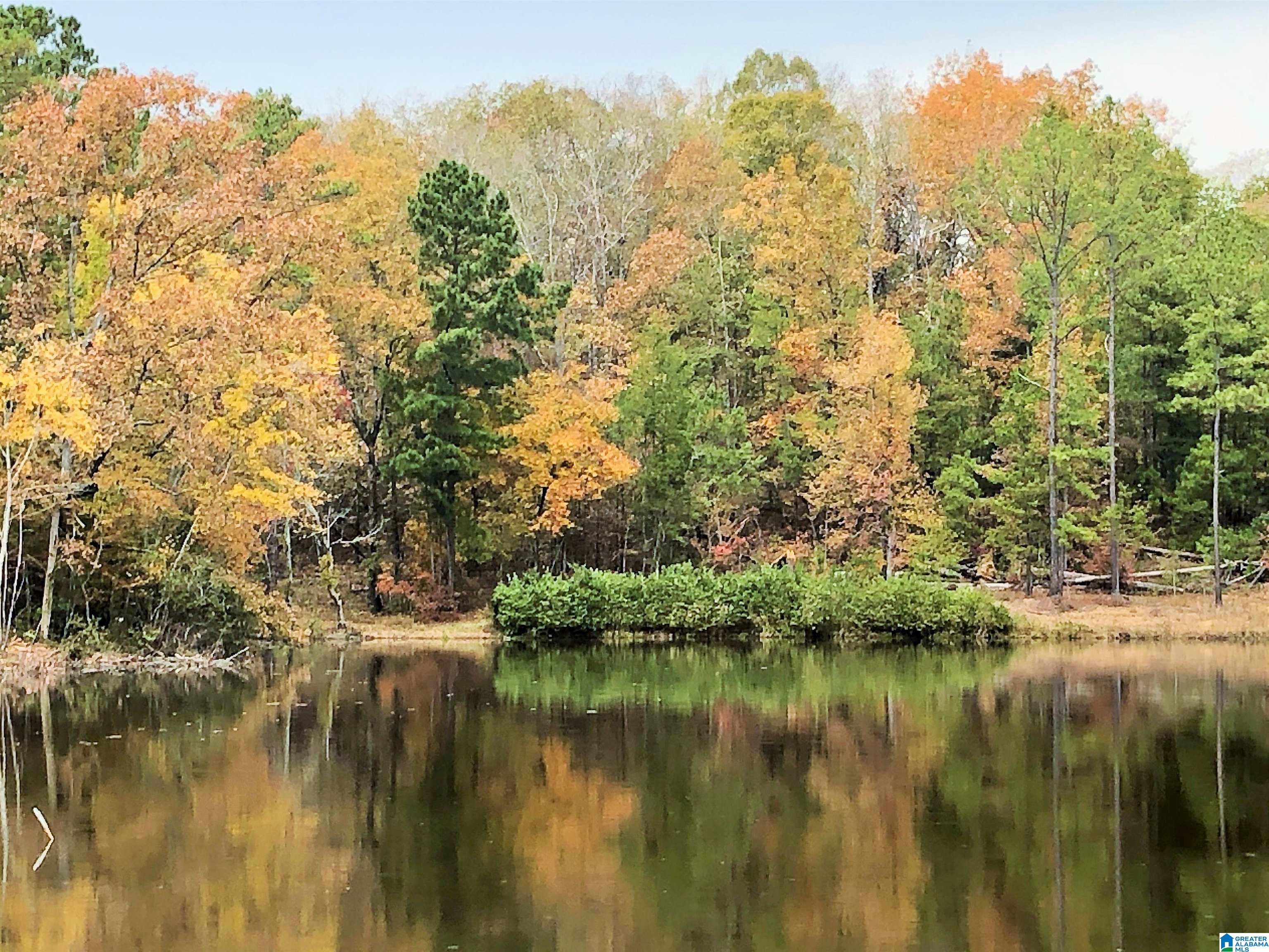 Homes for sale in Mccalla, AL | 4540 Cabin Road, Mccalla, AL 35022 | MLS# 21438157