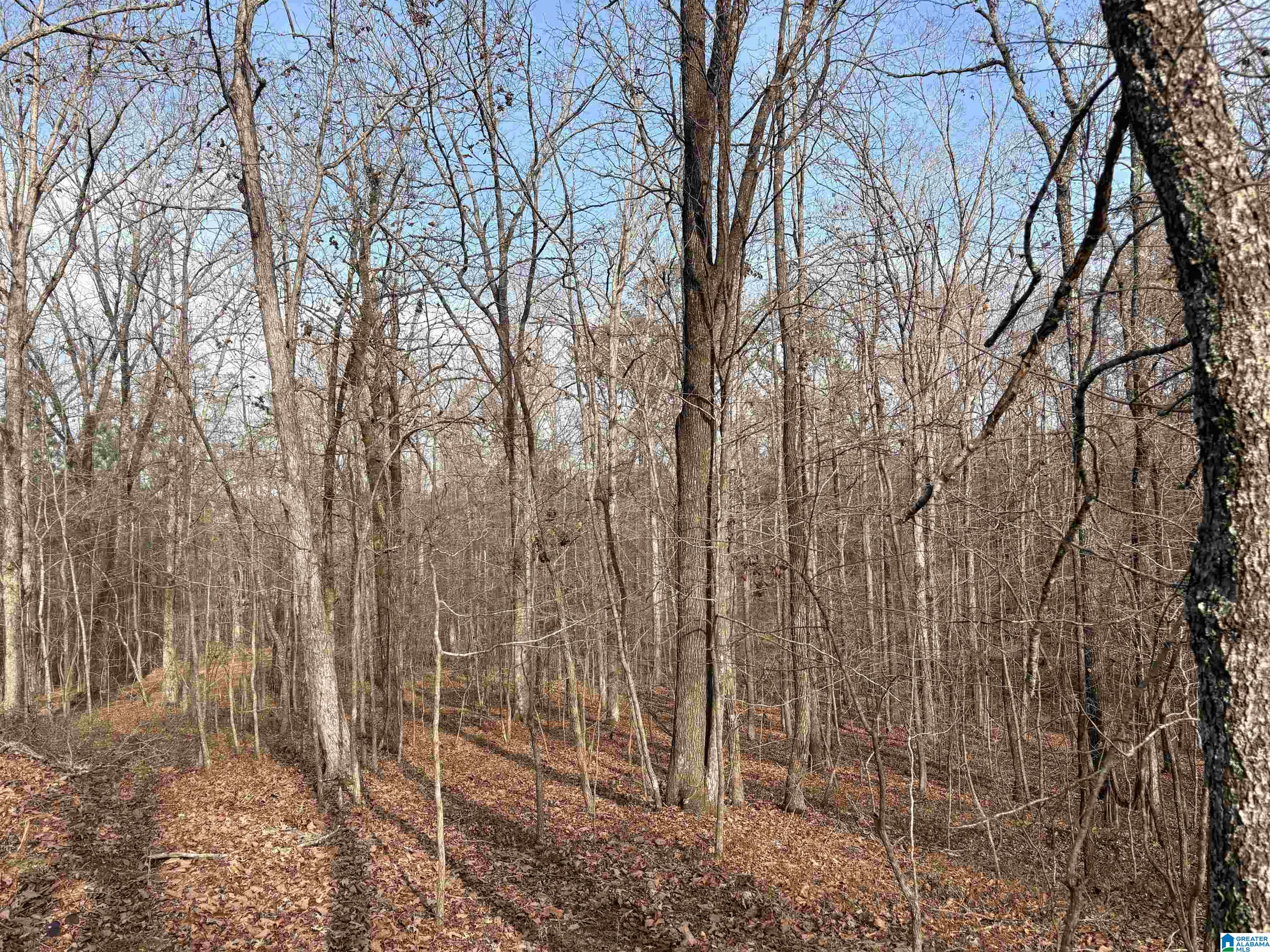 Homes for sale in Mccalla, AL | 4540 Cabin Road, Mccalla, AL 35022 | MLS# 21438157