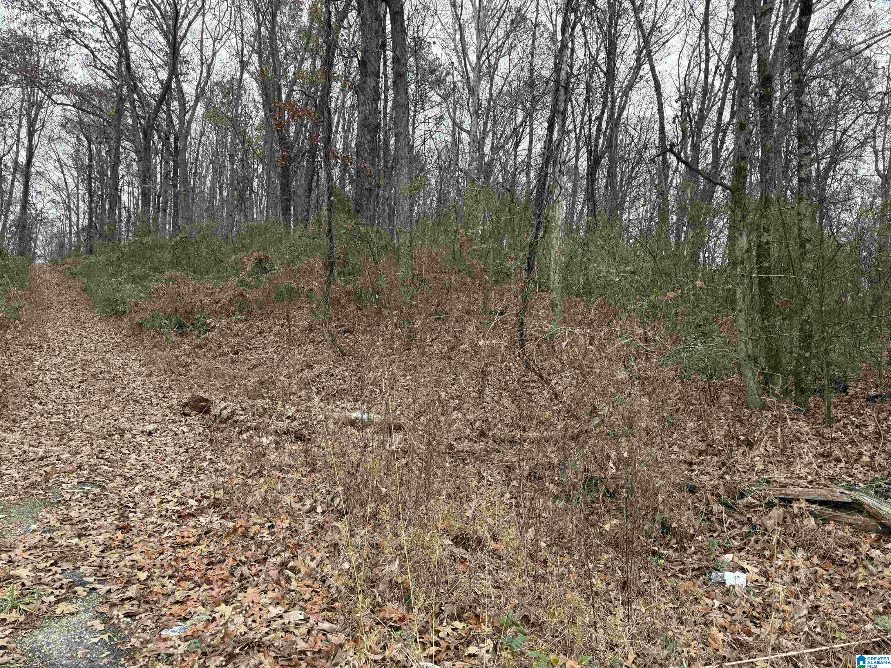 Homes for sale in Eastaboga, AL | 0 Shady Lane, Eastaboga, AL 36203 | MLS# 21438178