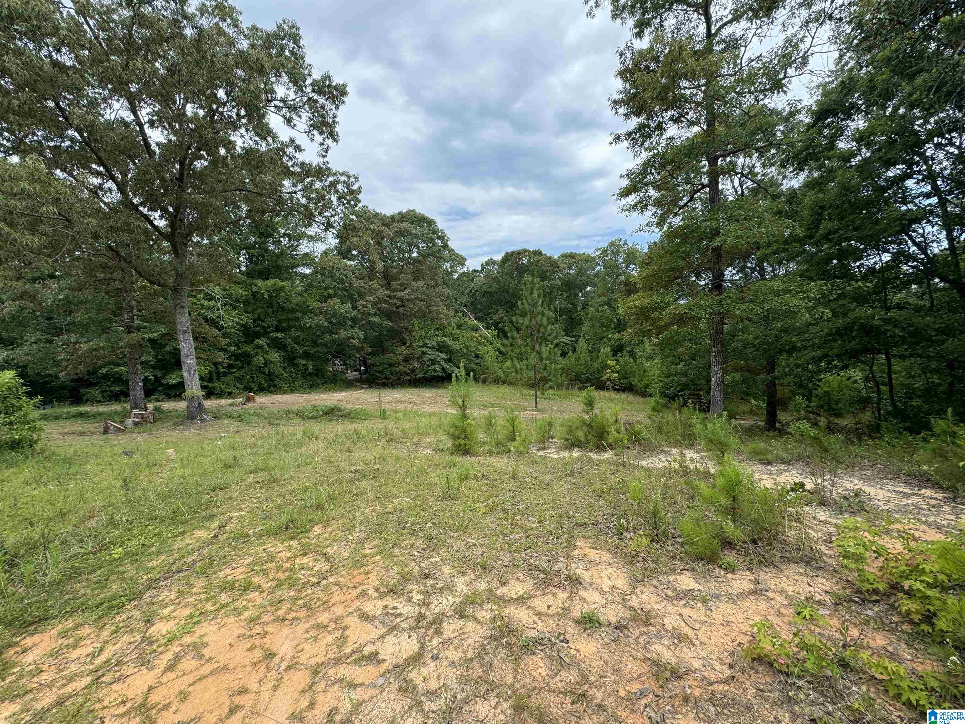 3917 COUNTY ROAD 1113