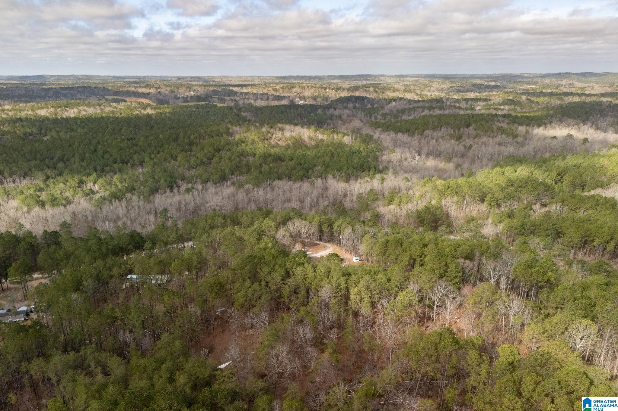 Homes for sale in Clanton, AL | 3800 County Road 61, Clanton, AL 35046 | MLS# 21438279