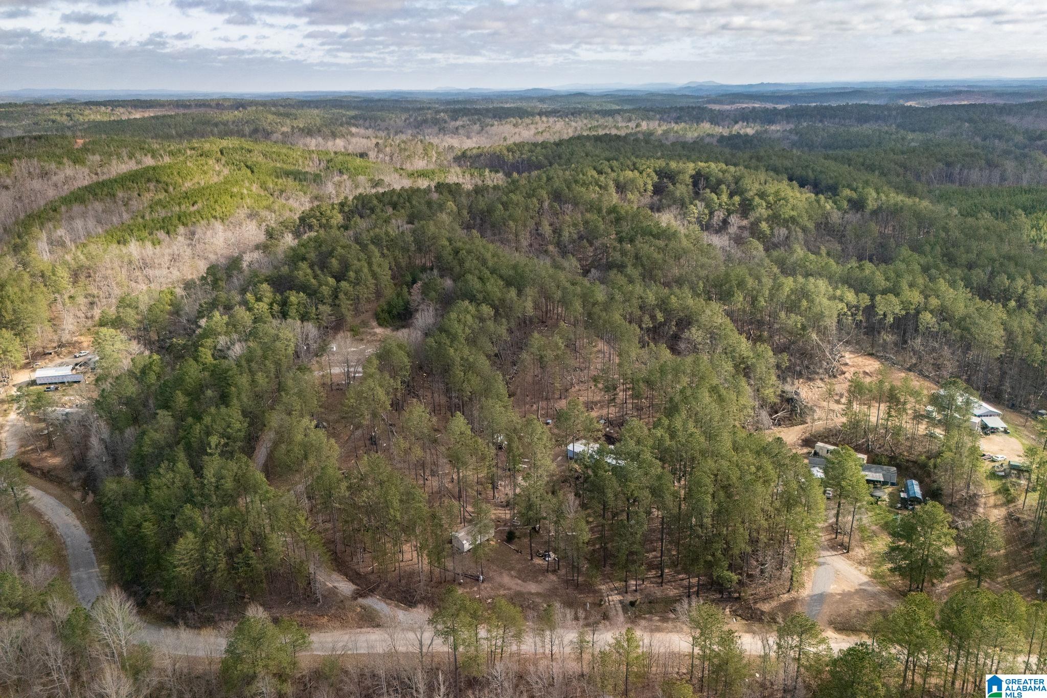 Homes for sale in Clanton, AL | 3800 County Road 61, Clanton, AL 35046 | MLS# 21438279