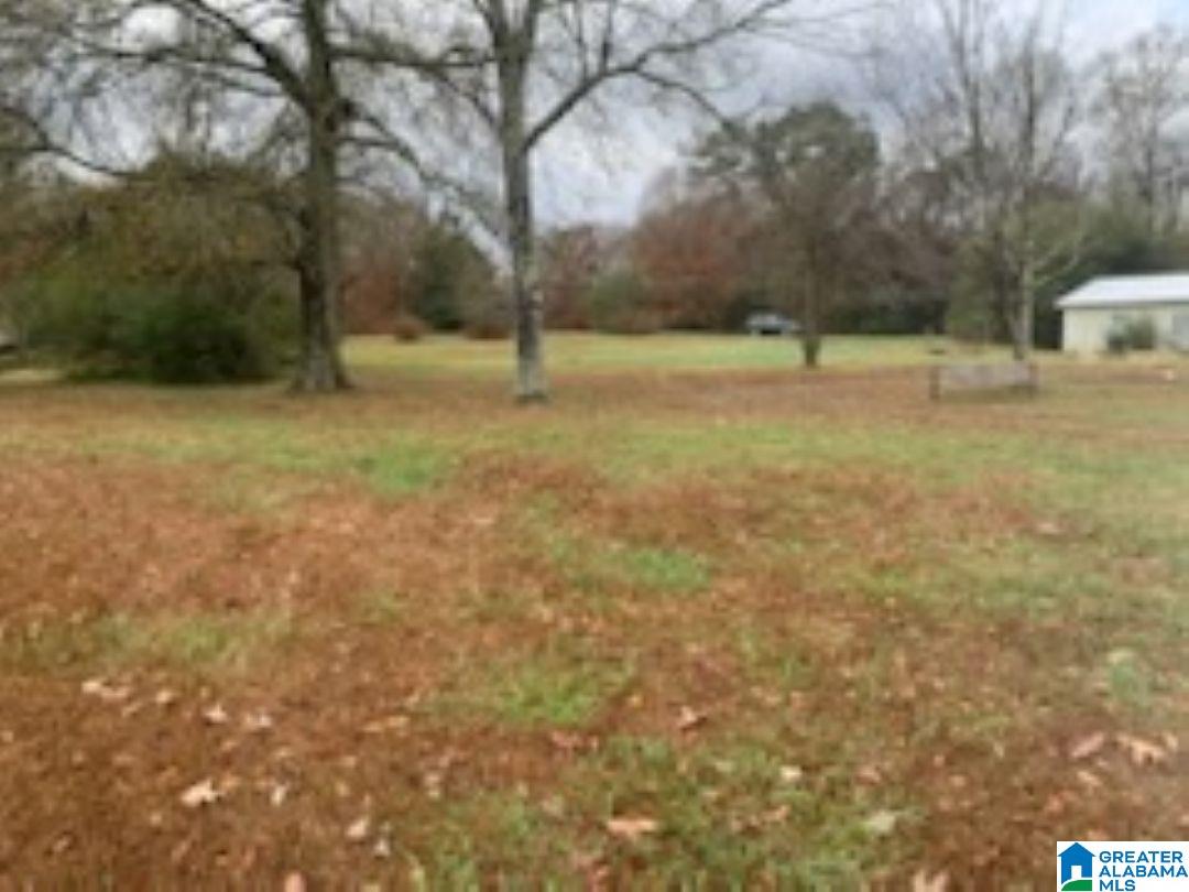 Homes for sale in Ashville, AL | 12149 Al Hwy 23, Ashville, AL 35953 | MLS# 21438285