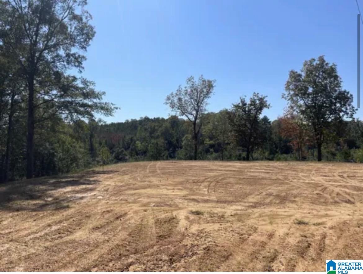 Homes for sale in West Blocton, AL | Hill Creek Dr, West Blocton, AL 35184 | MLS# 21438295