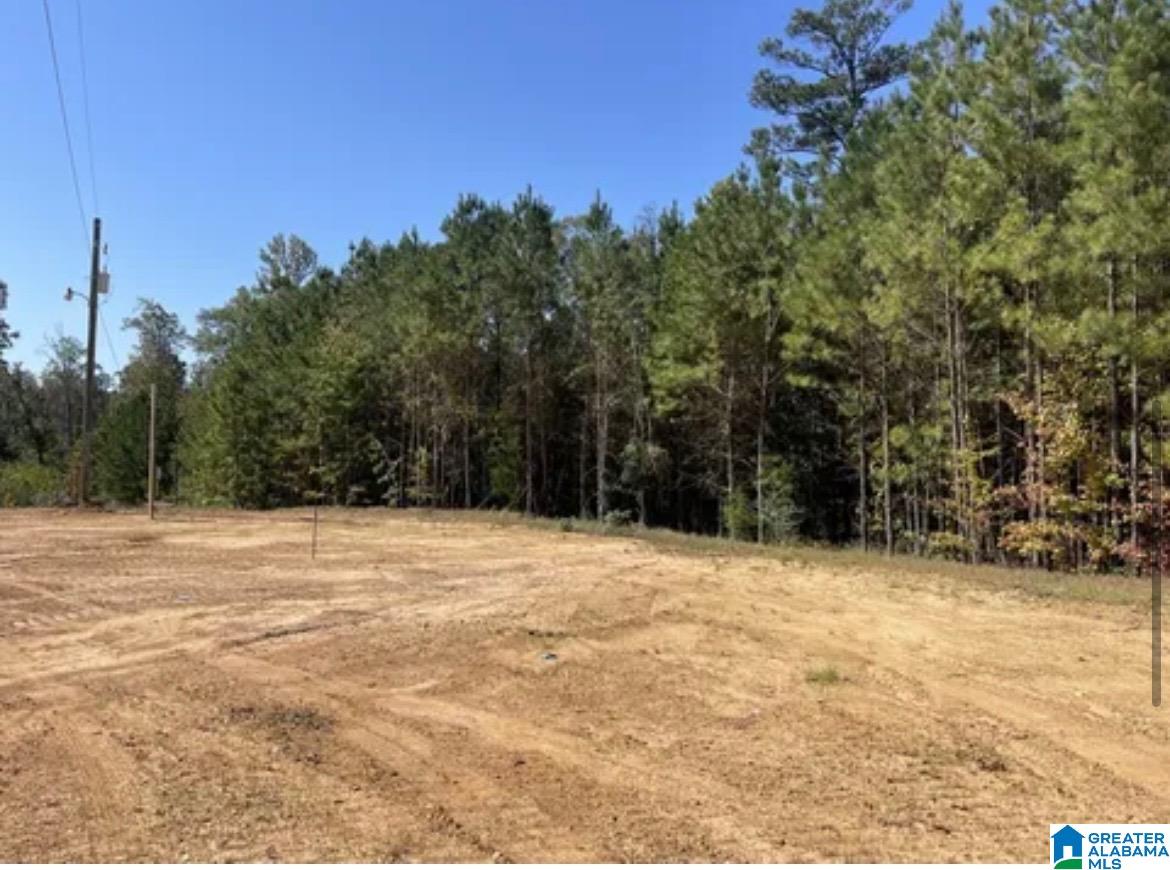 Homes for sale in West Blocton, AL | Hill Creek Dr, West Blocton, AL 35184 | MLS# 21438295