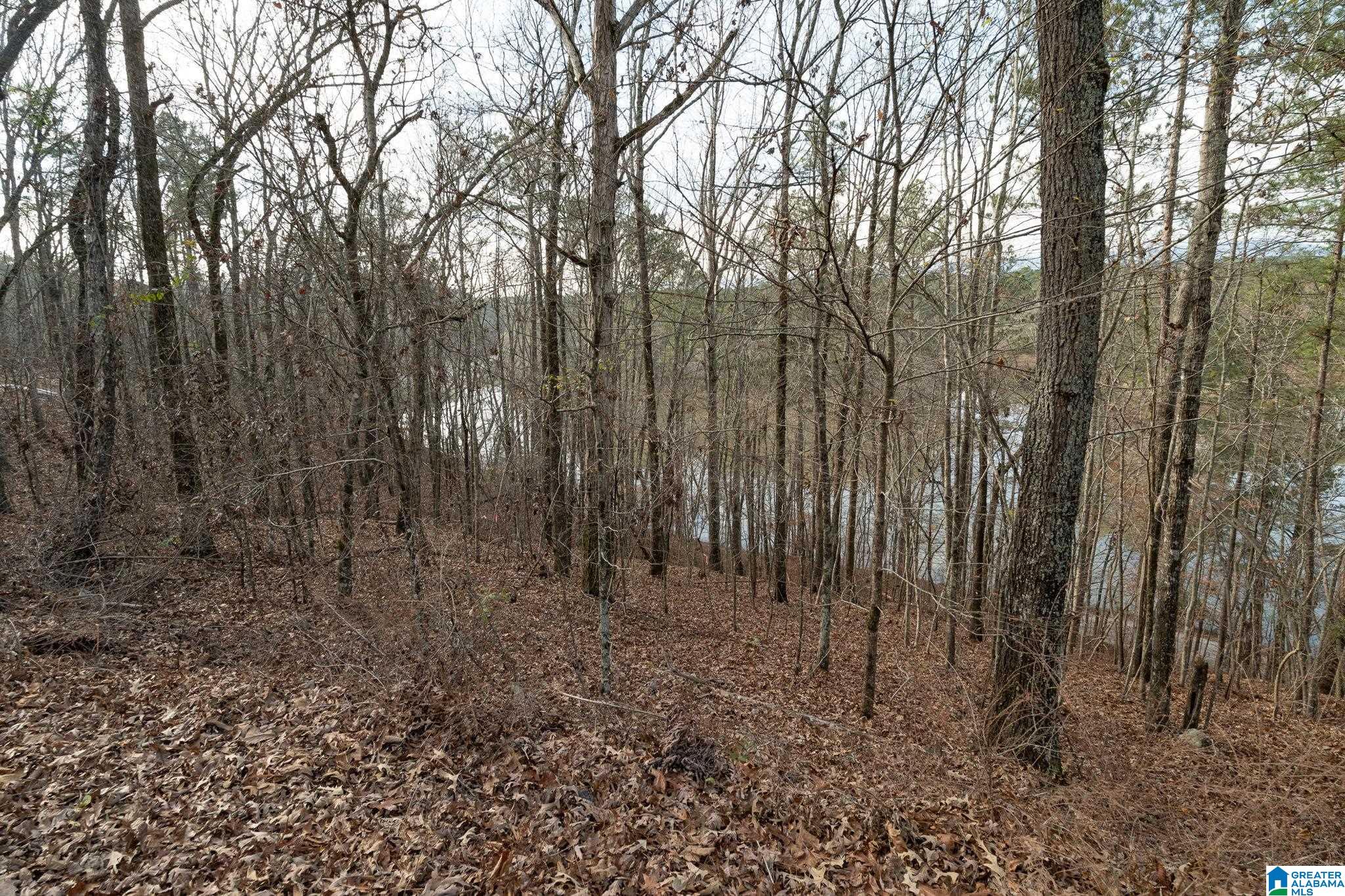 Homes for sale in Ashville, AL | Maverick Dr, Ashville, AL 35953 | MLS# 21438367